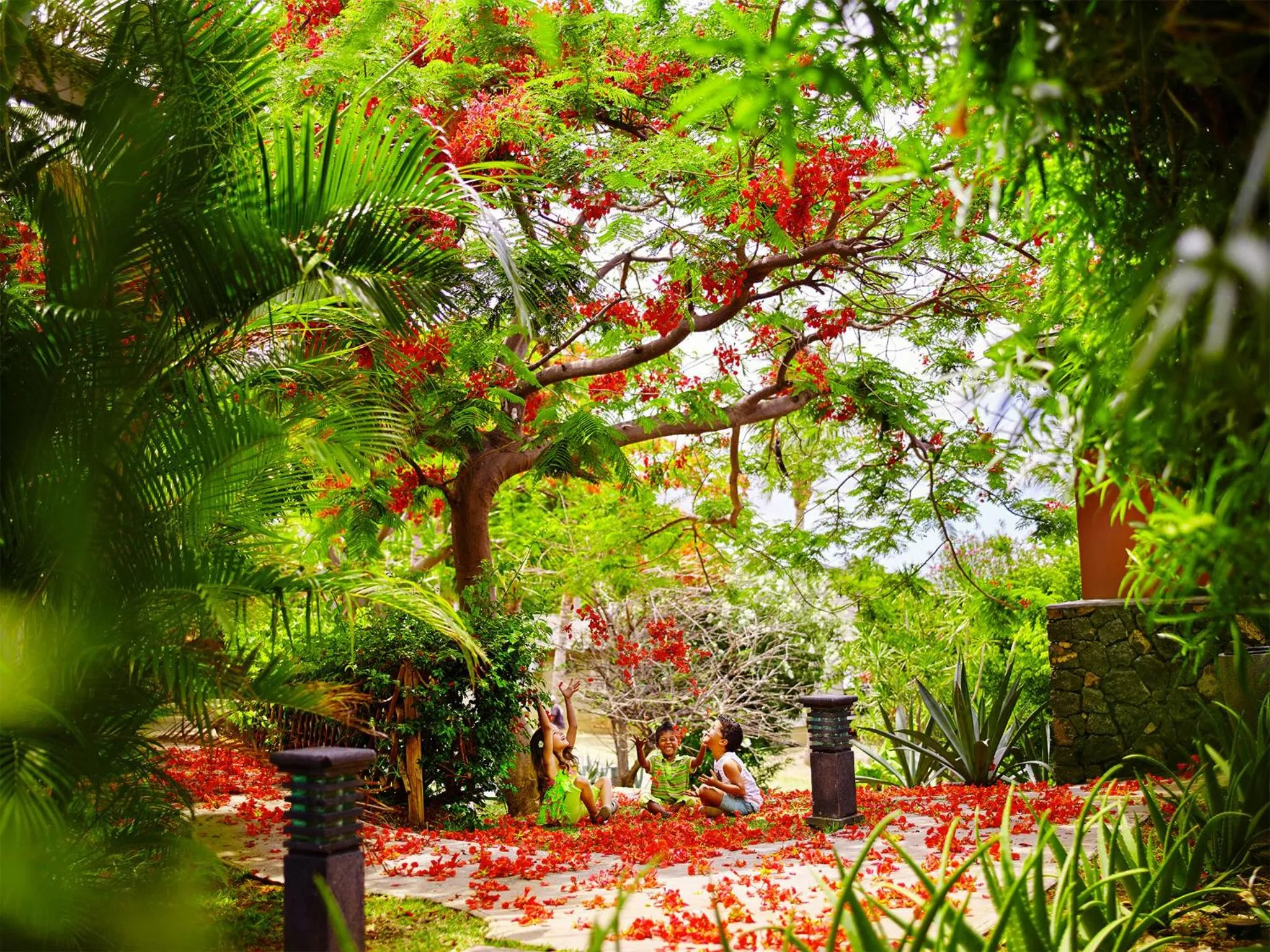 Garden in Iloha Seaview Hotel