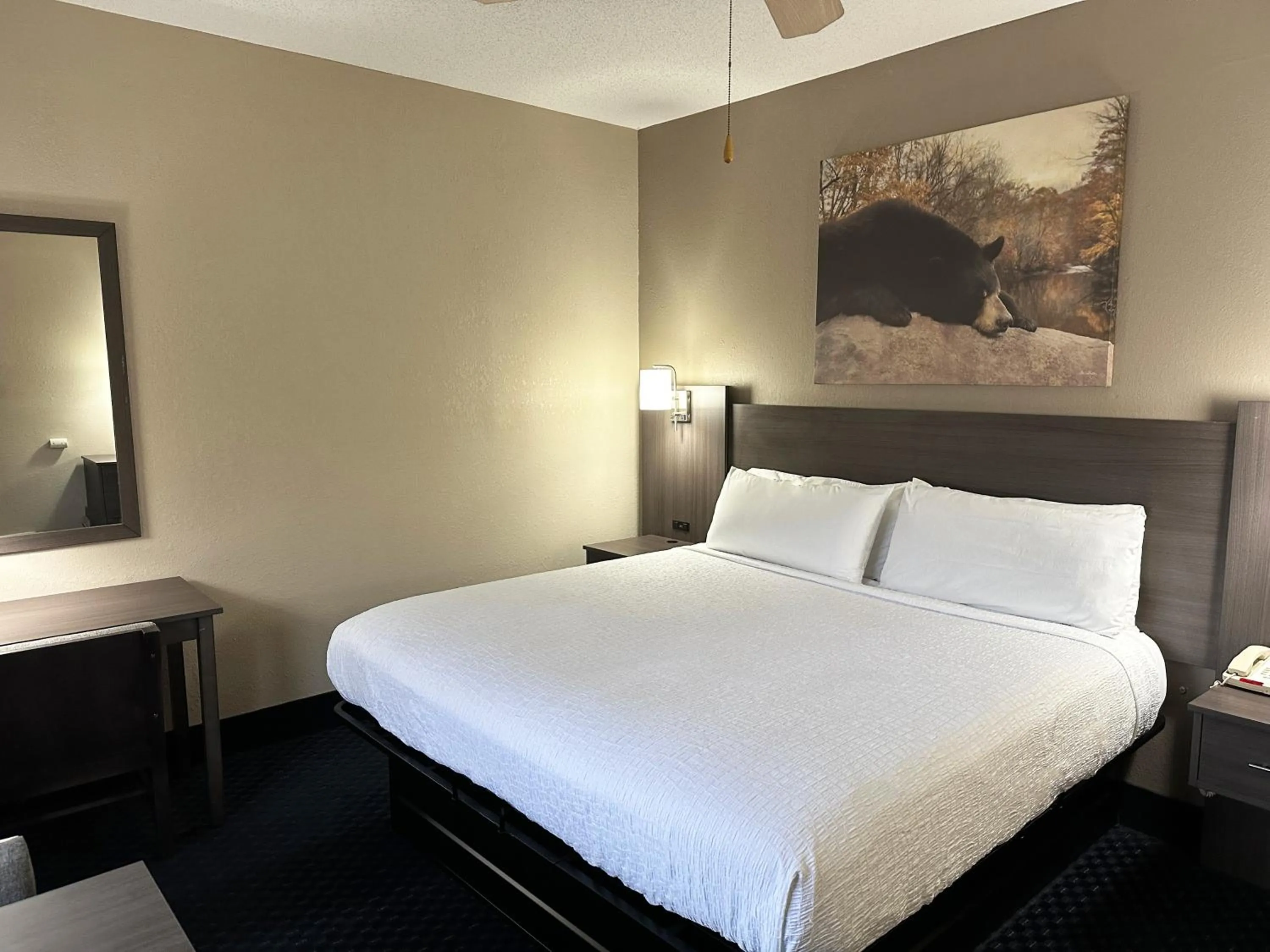 Property building, Bed in Sidney James Mountain Lodge