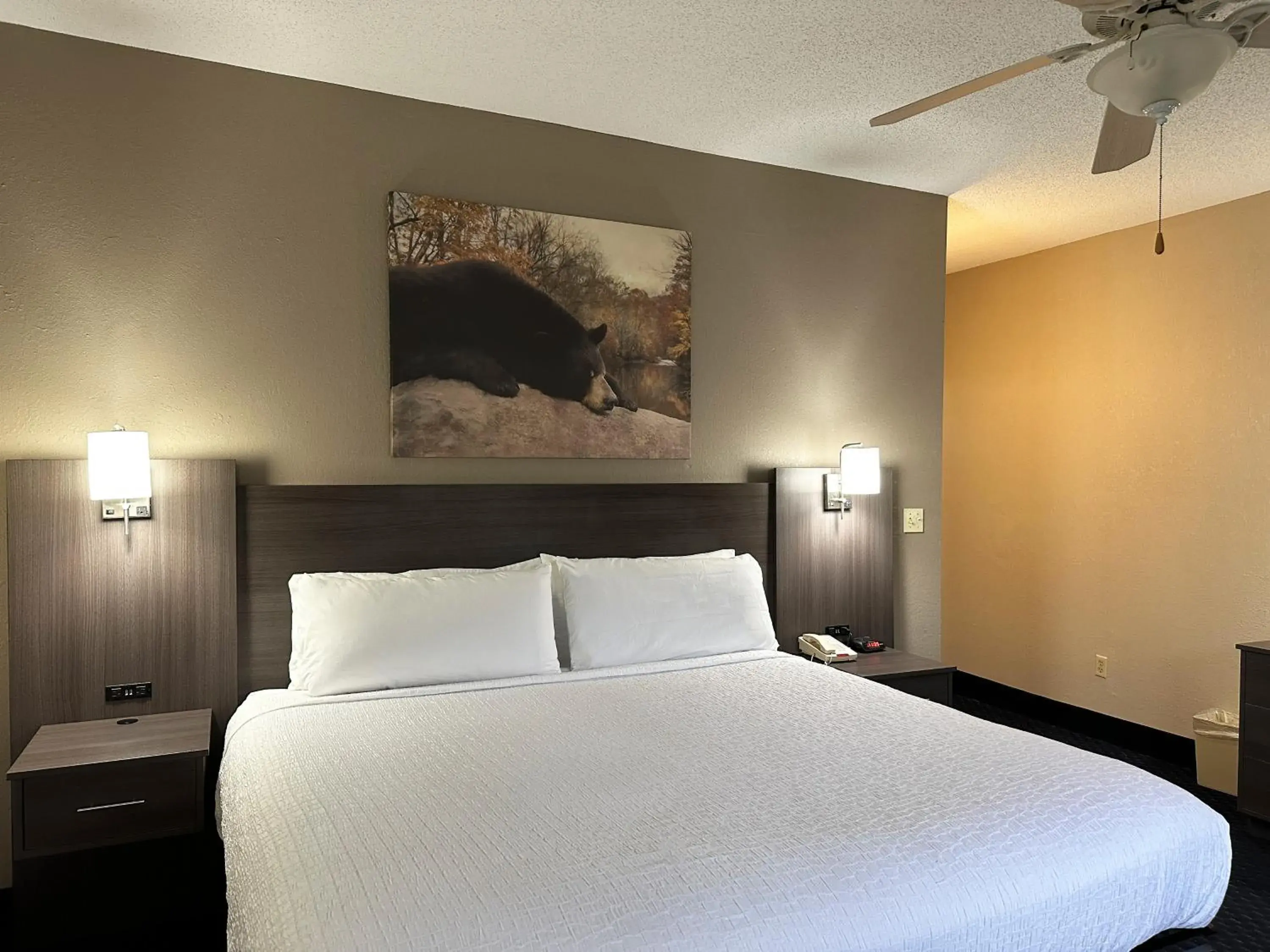 Bedroom, Bed in Sidney James Mountain Lodge Bedroom, Bed in Sidney James Mountain Lodge