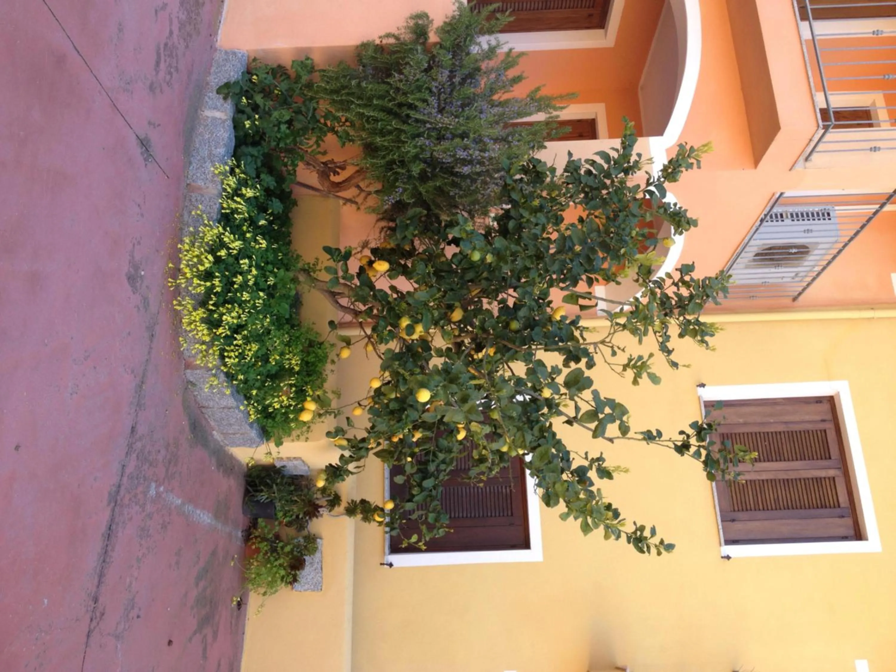 Property building in Modern 1 bed apartment sleep 3 sea view only 700mt from sea