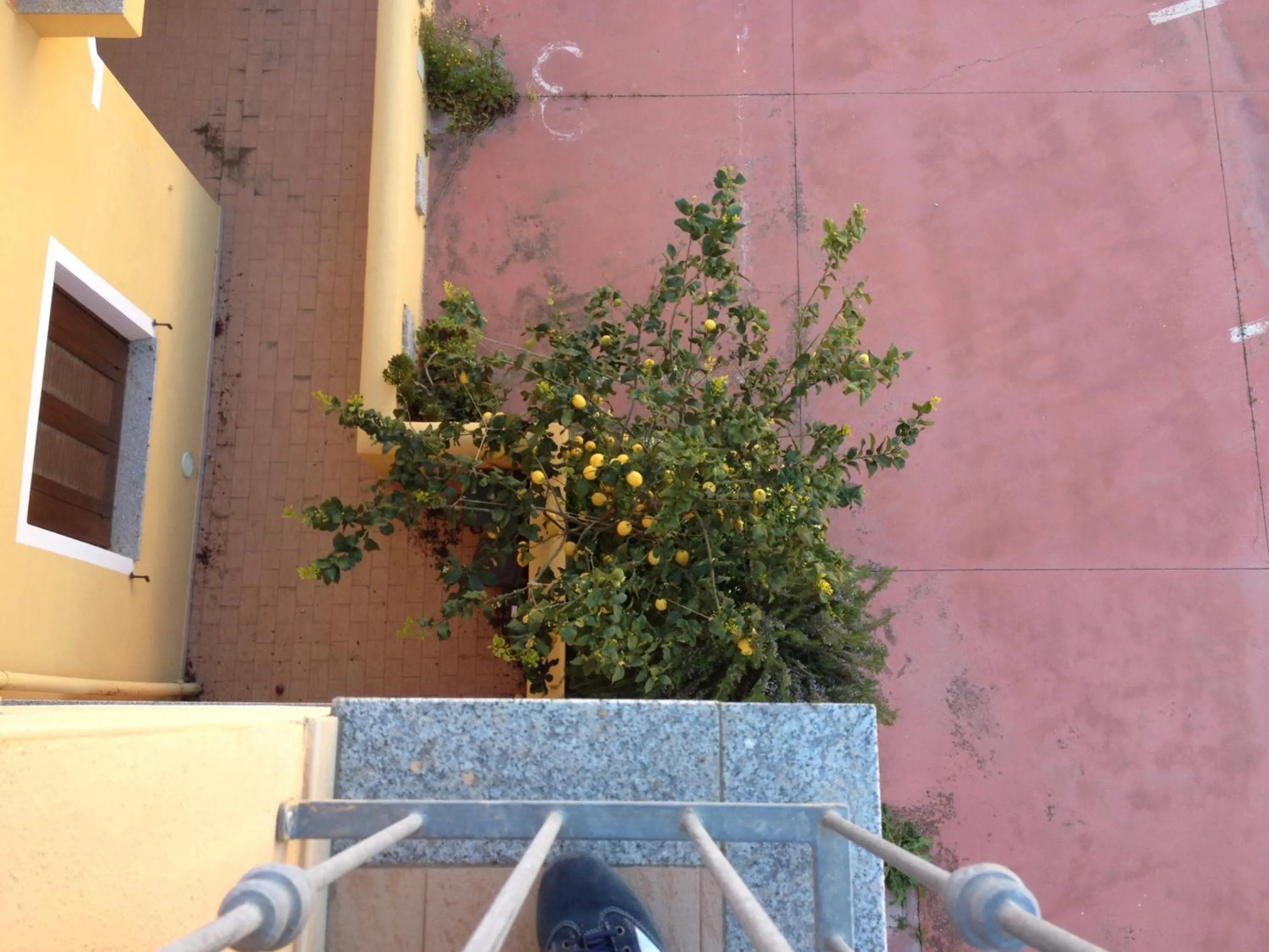 Property building in Modern 1 bed apartment sleep 3 sea view only 700mt from sea