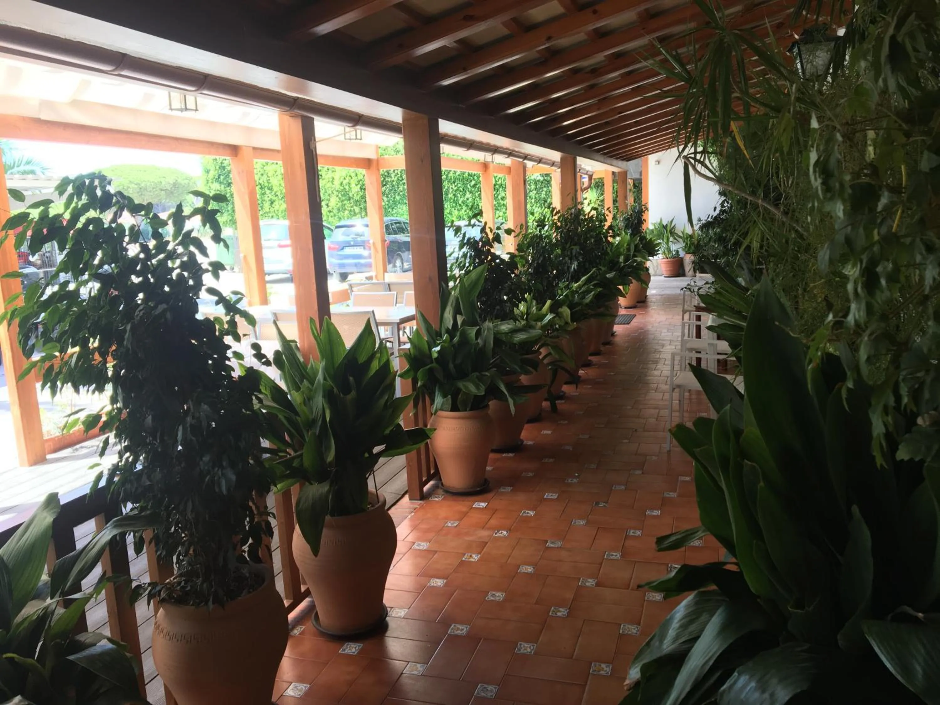 Garden in Hotel Antonio Conil