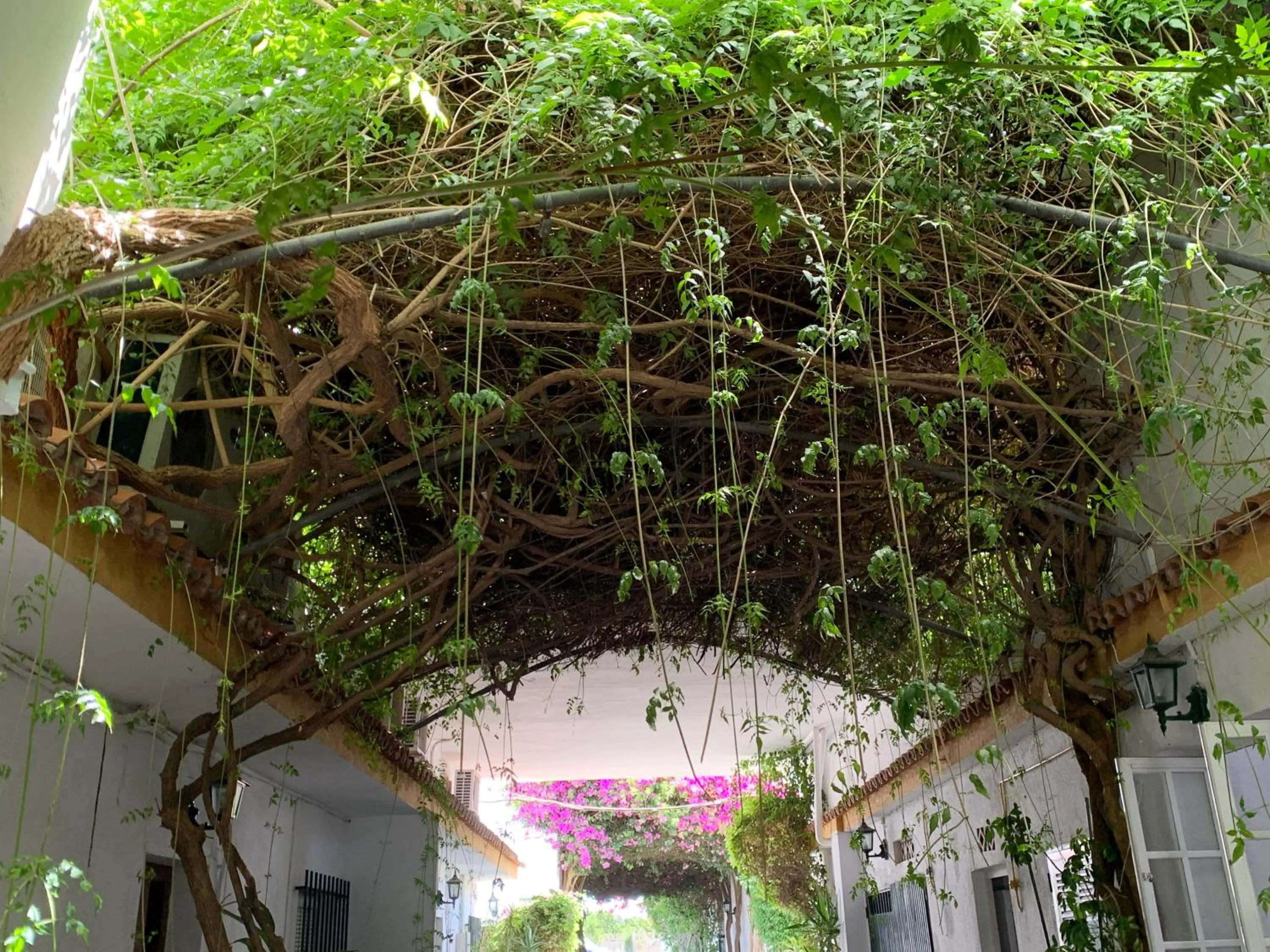 Patio in Hotel Antonio Conil