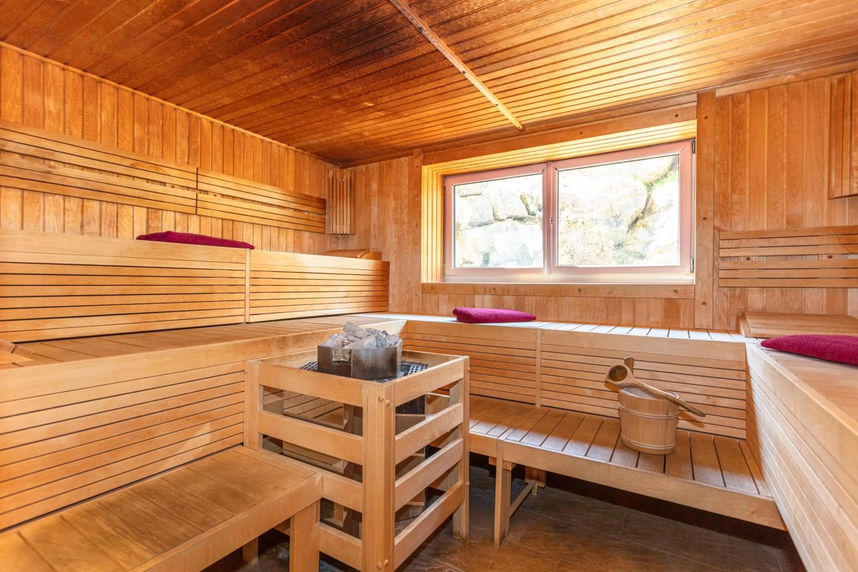 Sauna in Apart Hotel Alpenhof Werfenweng