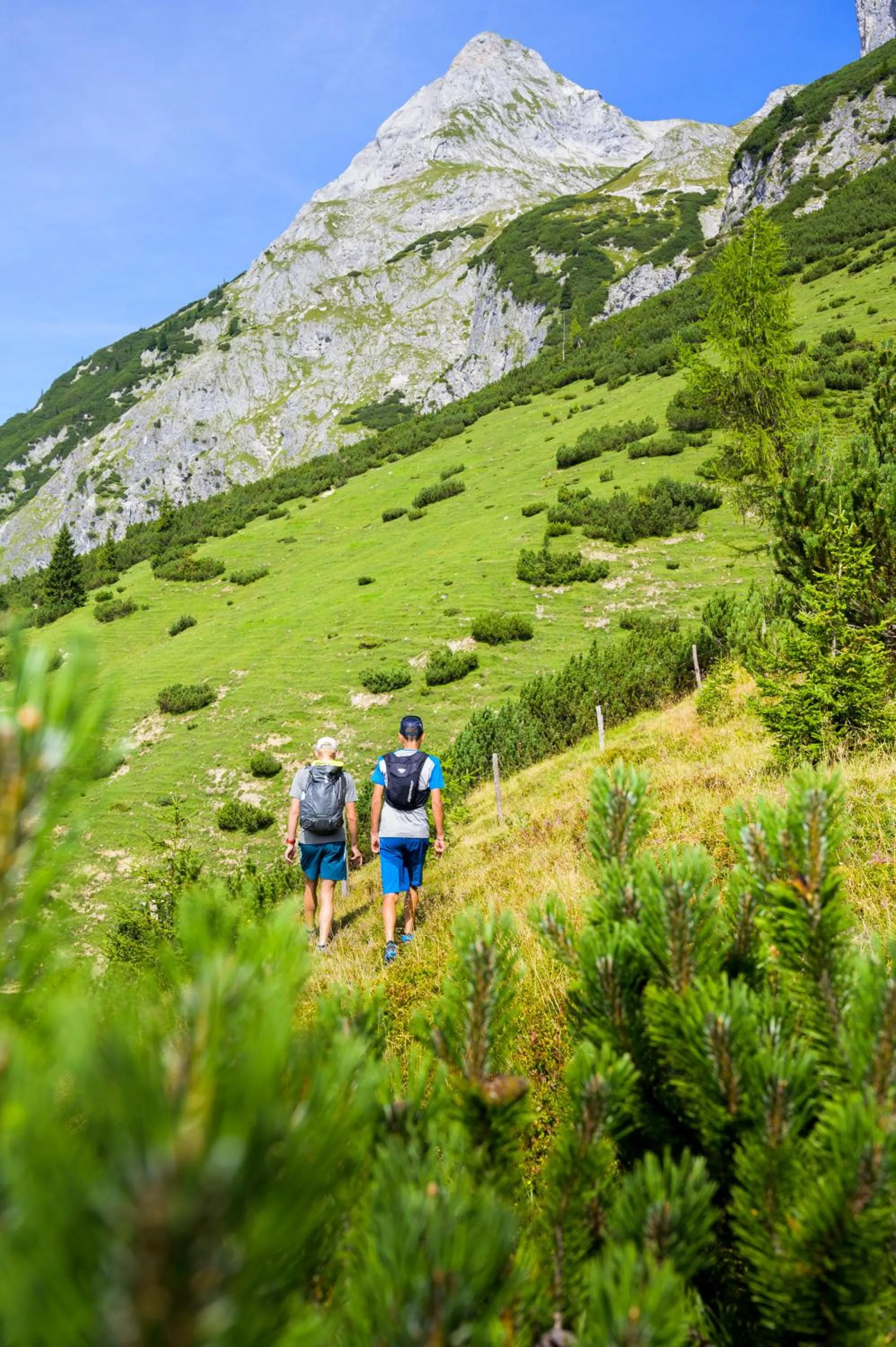 Spring in Apart Hotel Alpenhof Werfenweng