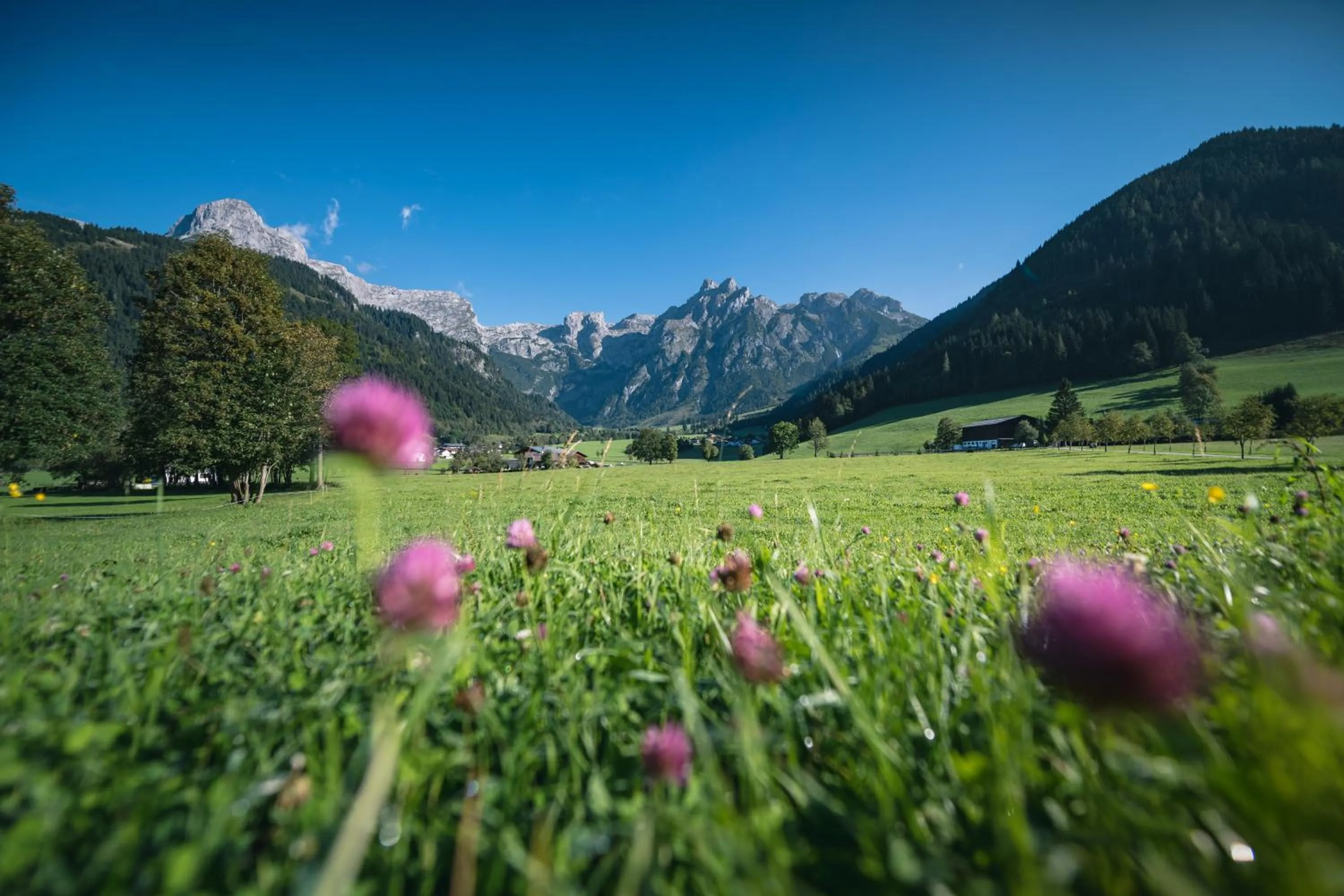 Spring in Apart Hotel Alpenhof Werfenweng