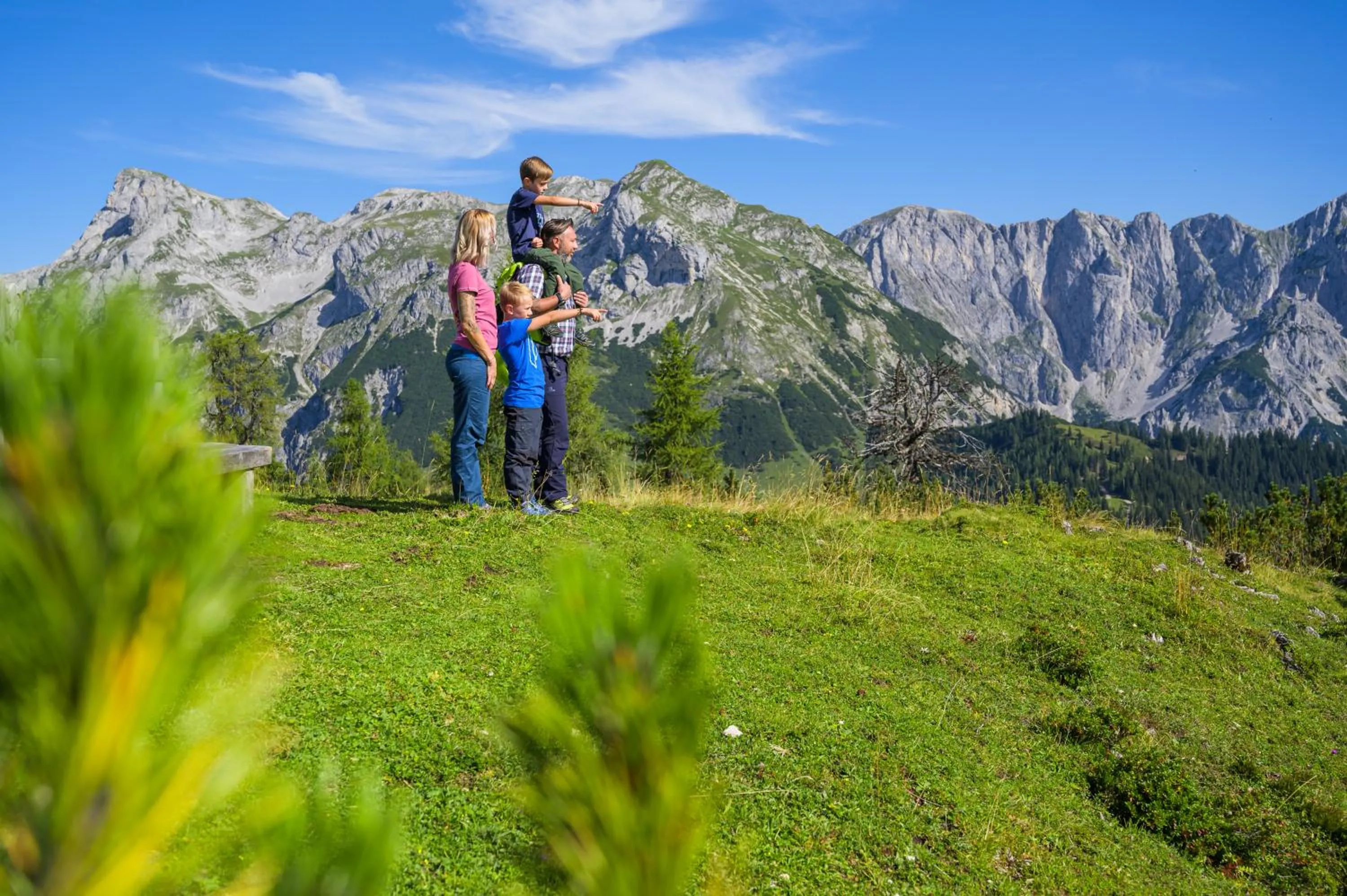 Spring in Apart Hotel Alpenhof Werfenweng