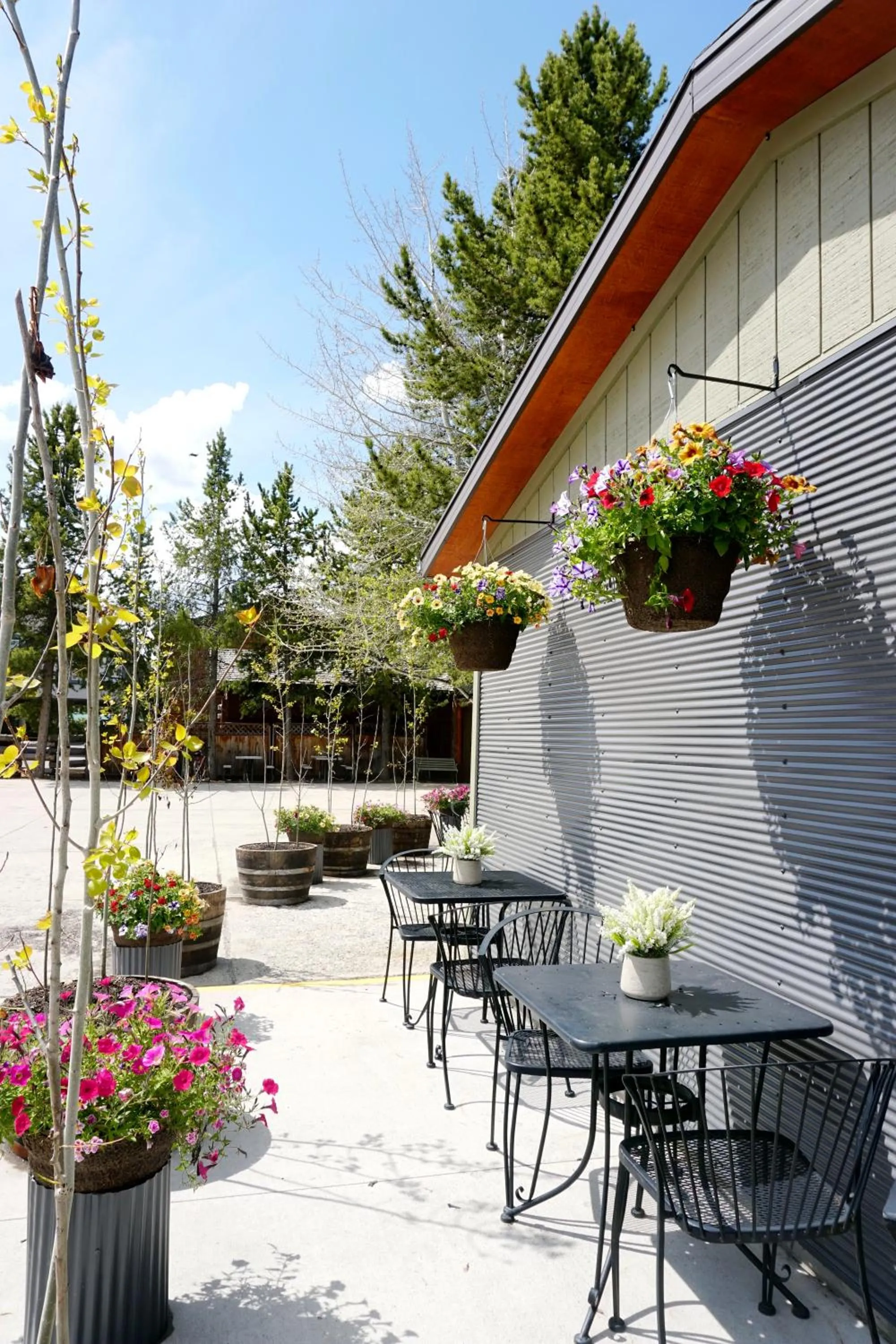 Moose Creek Inn