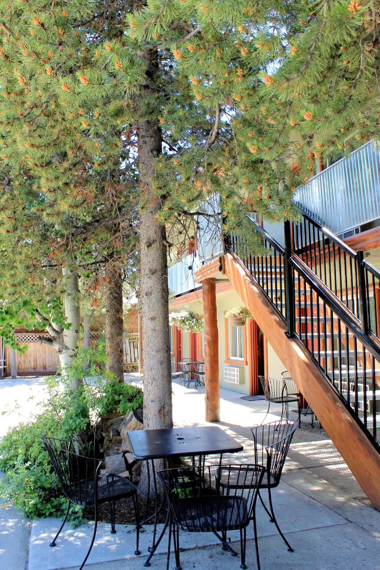 Moose Creek Inn