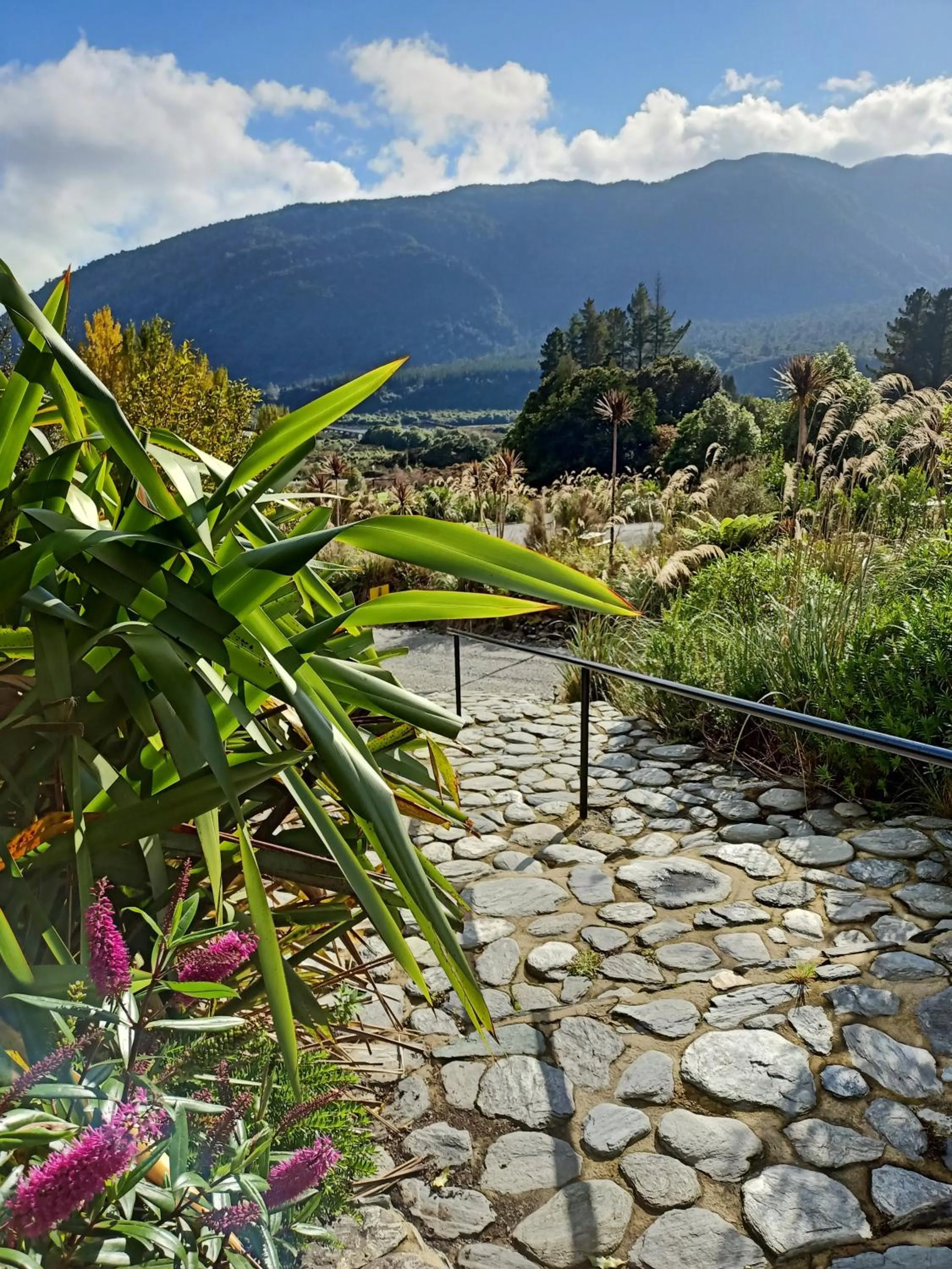Natural landscape in Jackson's Retreat Alpine Holiday Park