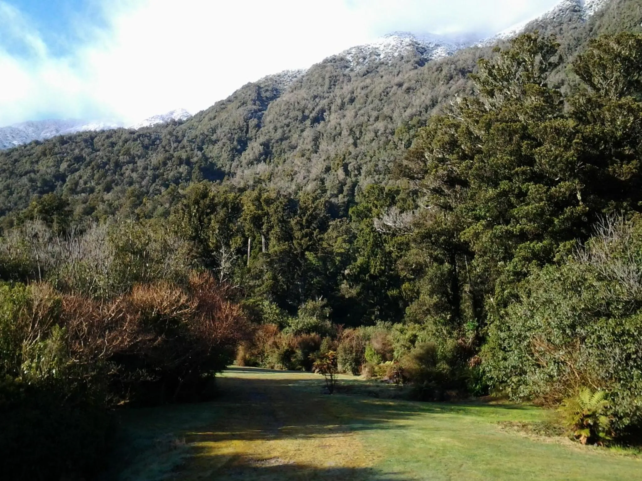 Natural landscape in Jackson's Retreat Alpine Holiday Park
