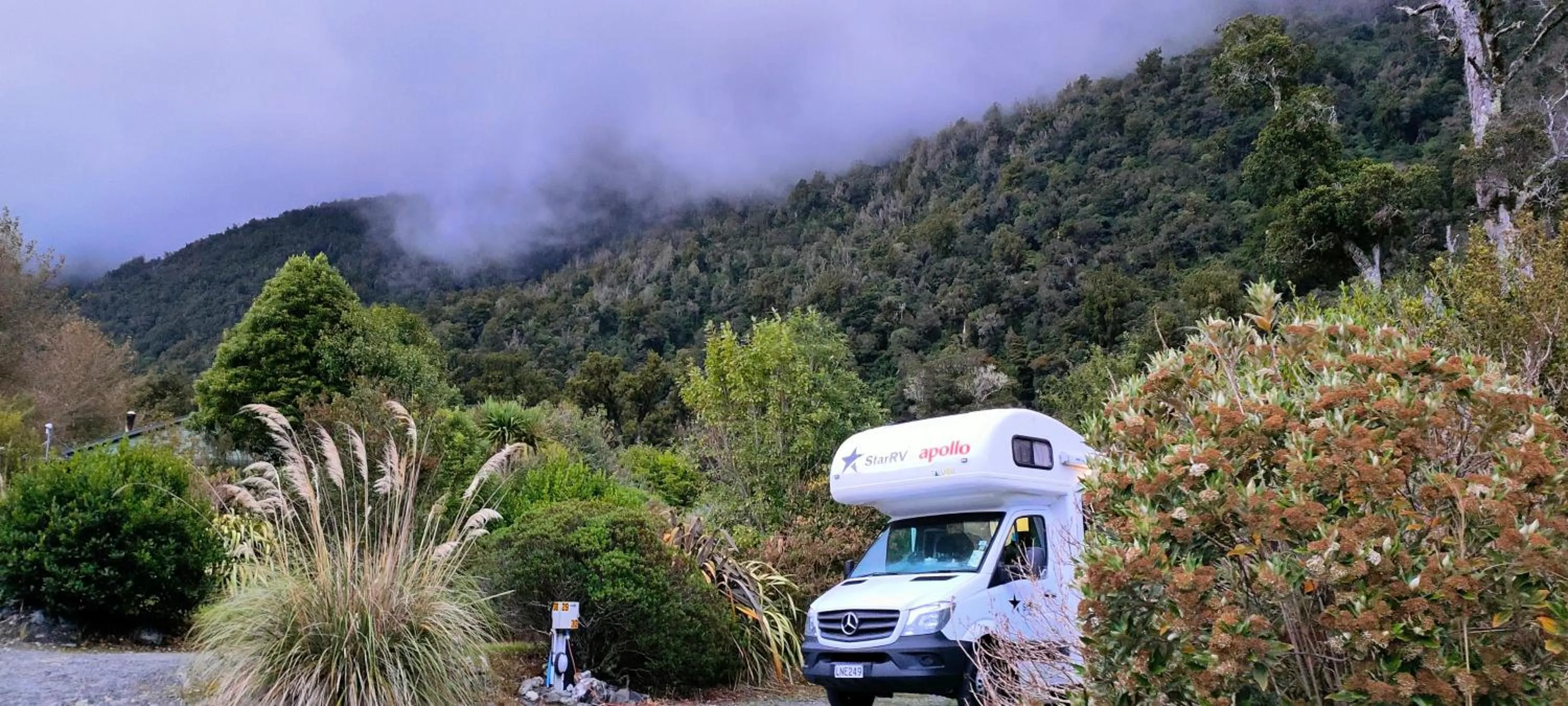 Spring in Jackson's Retreat Alpine Holiday Park