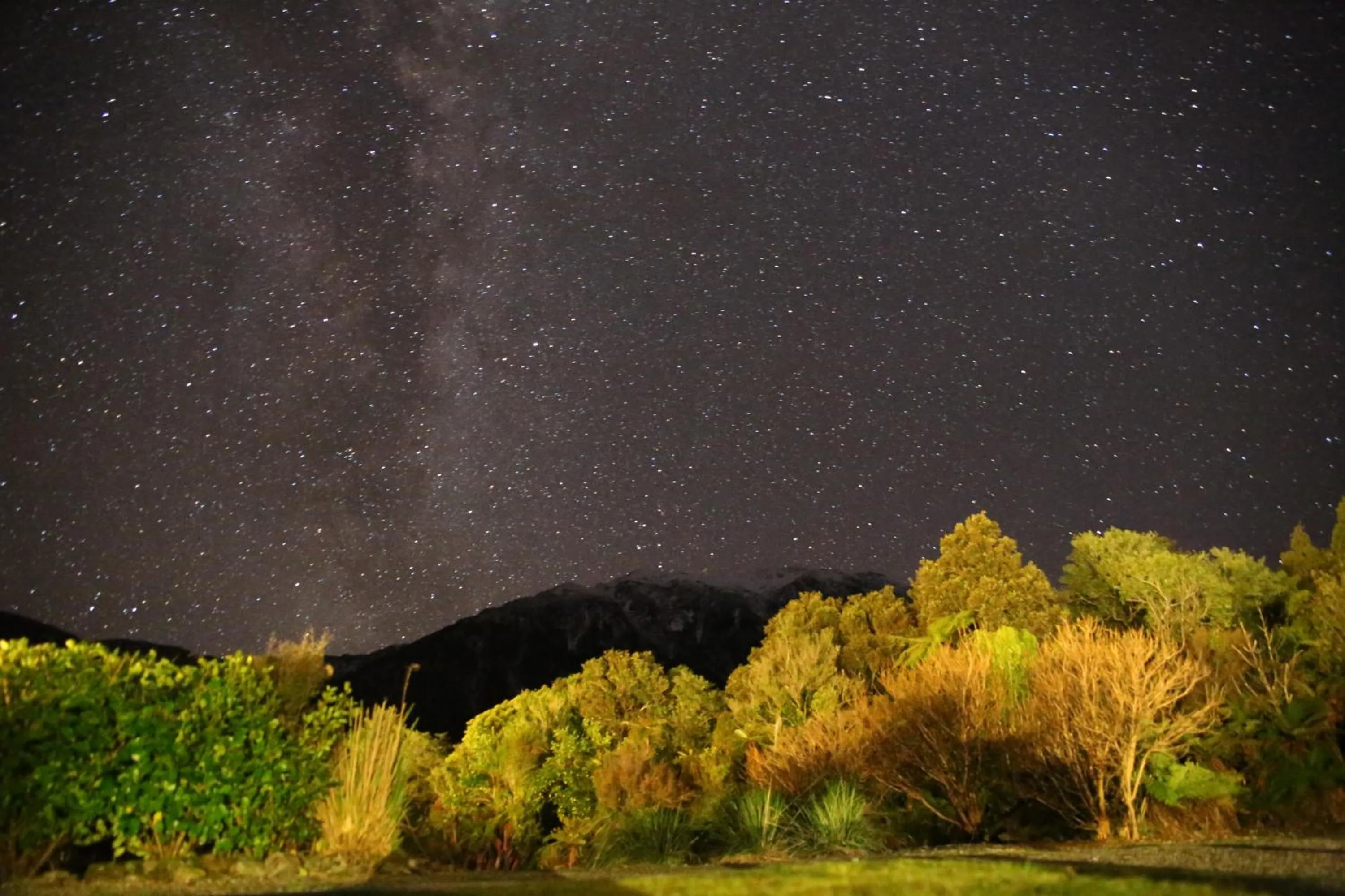 Night in Jackson's Retreat Alpine Holiday Park