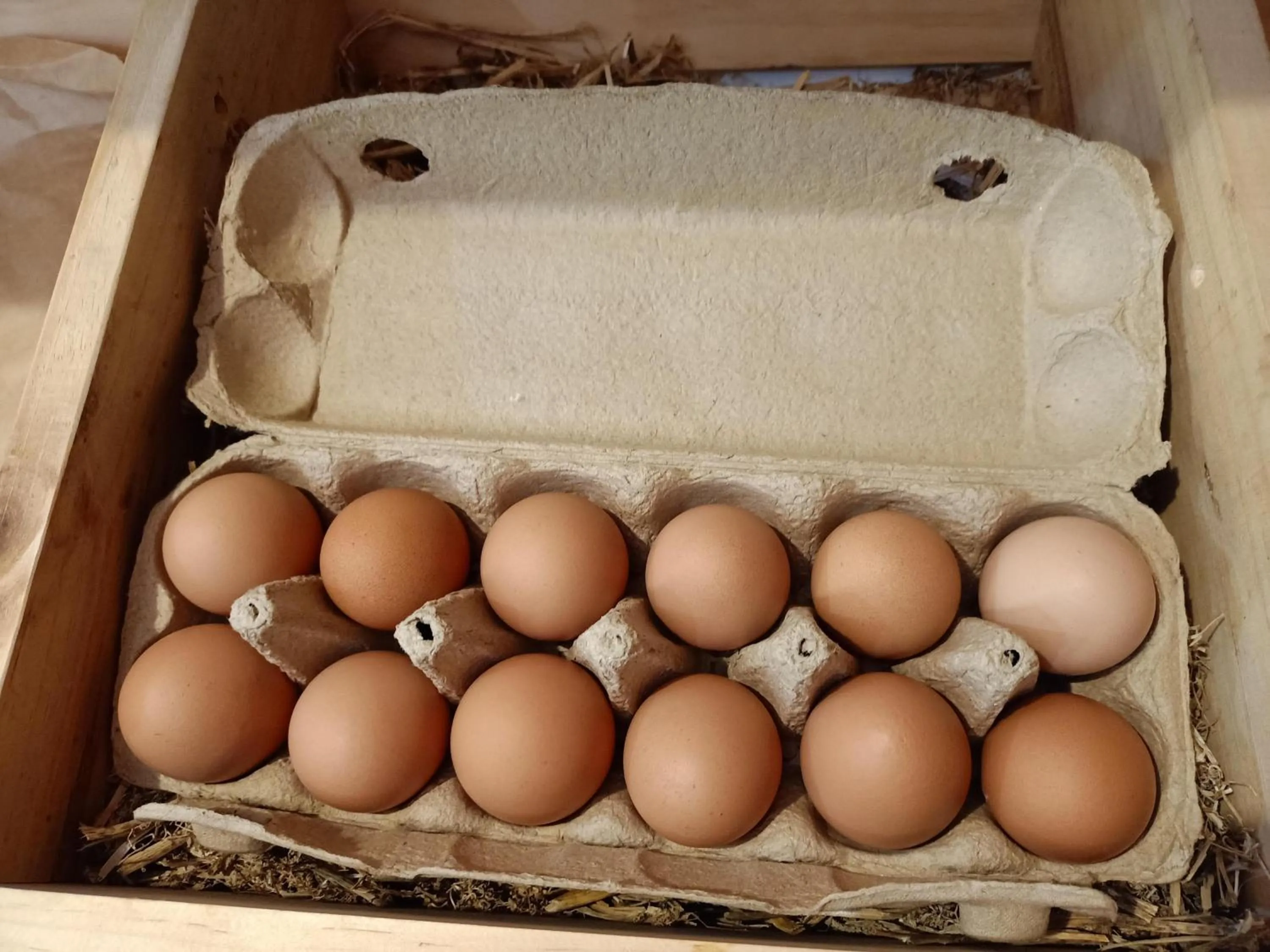 Food in Jackson's Retreat Alpine Holiday Park