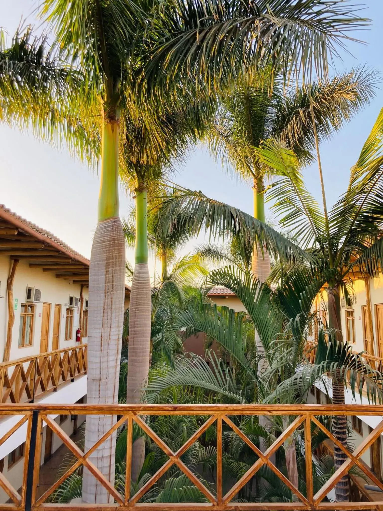 Swimming pool in Casa Andina Standard Nasca Swimming pool in Casa Andina Standard Nasca