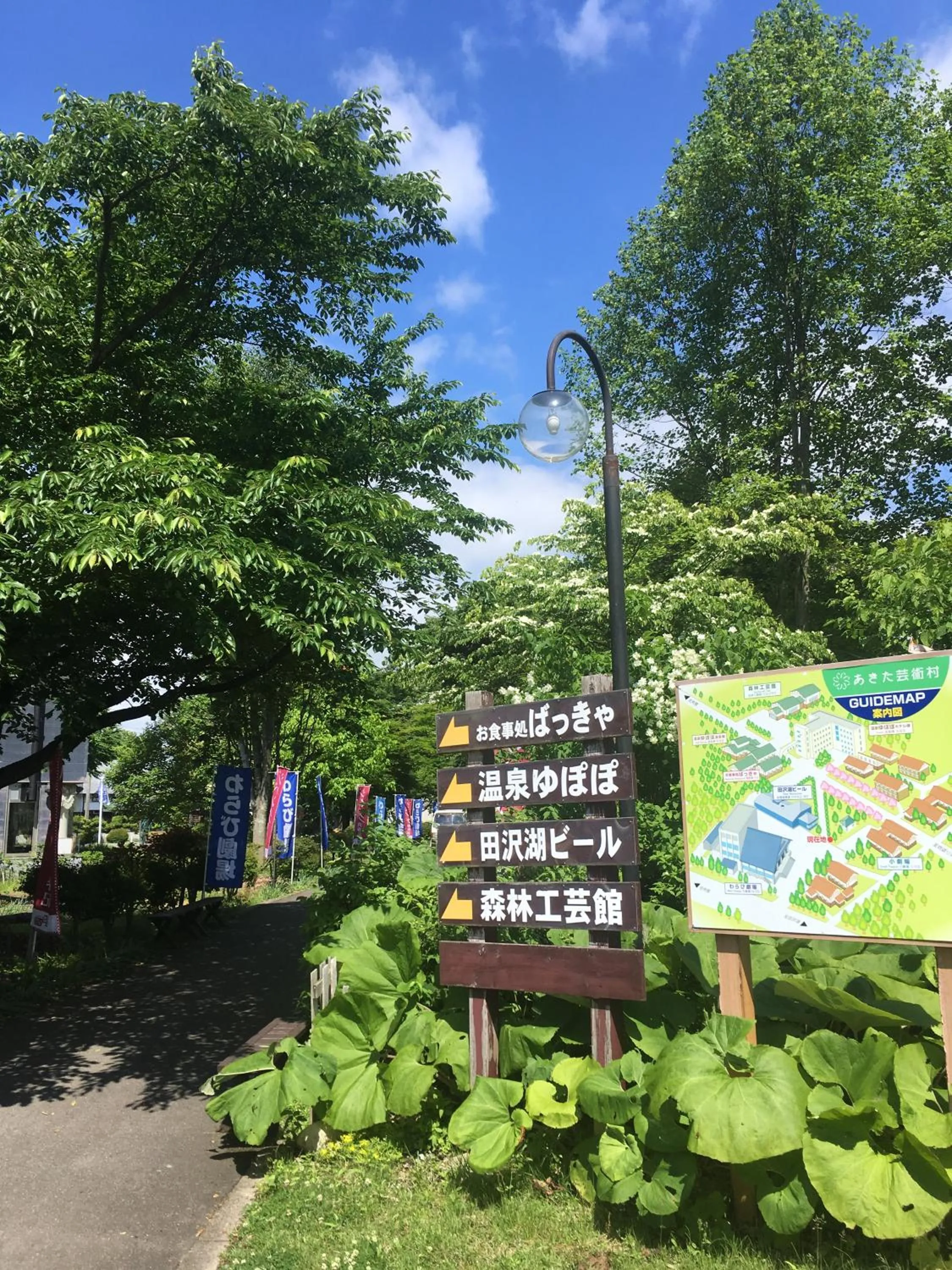 Garden in Onsen Yupopo