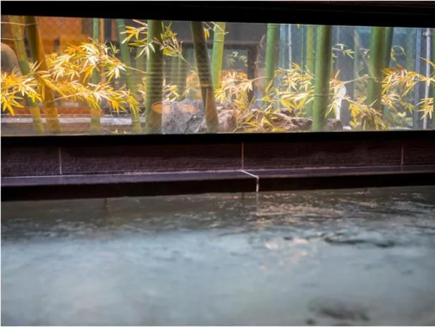 Super Hotel Yonago Ekimae