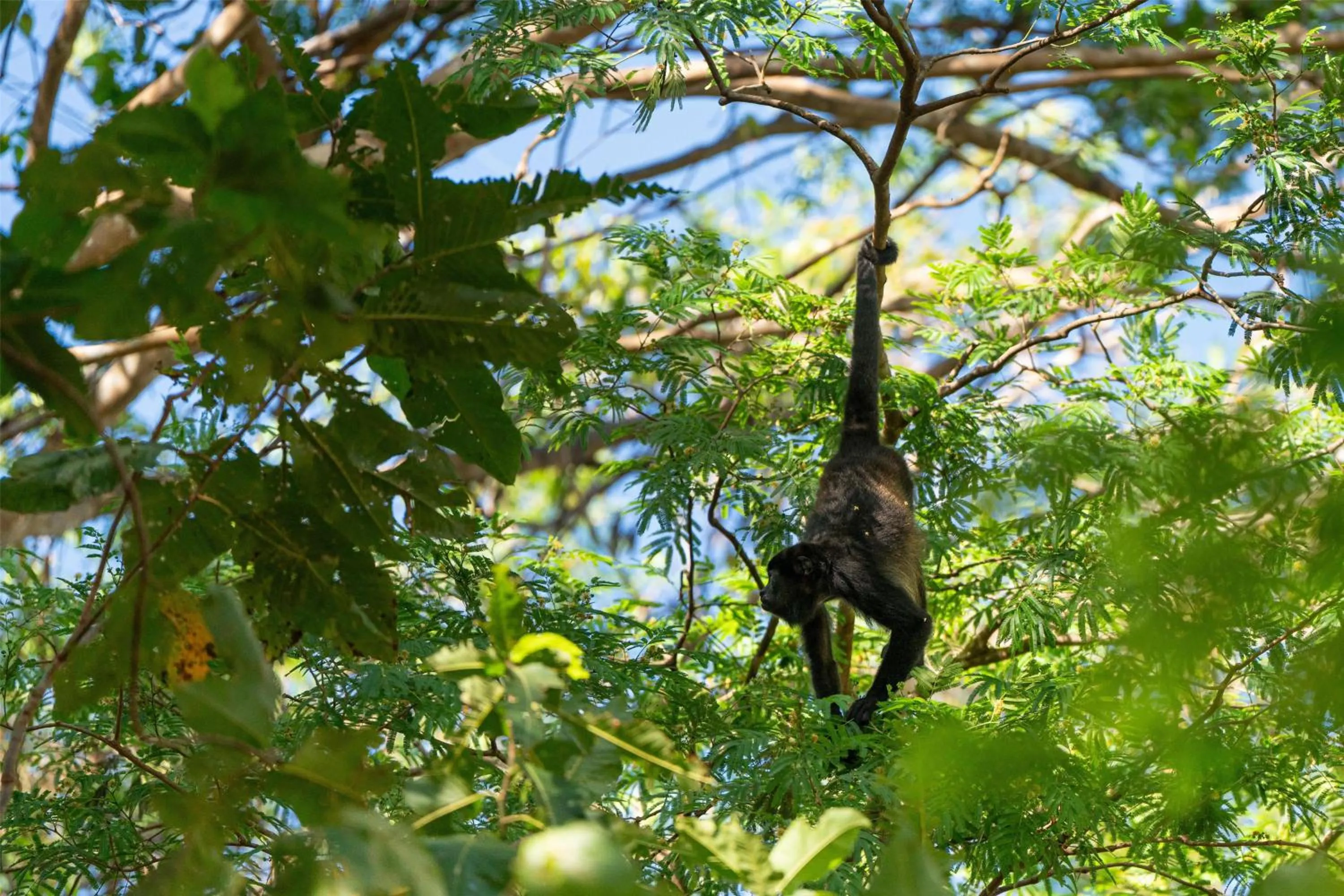 Property building in Best Western Tamarindo Vista Villas