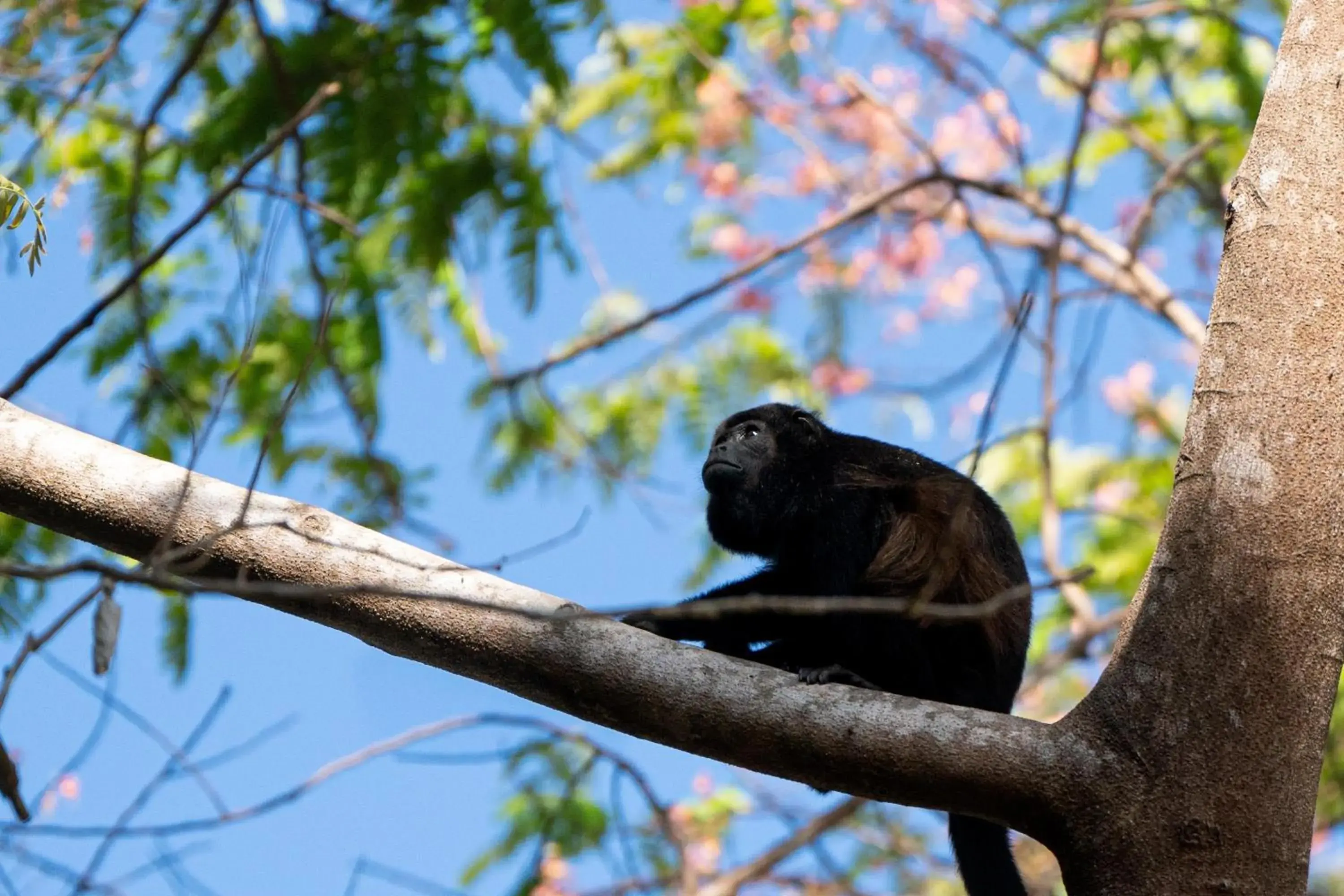 Property building in Best Western Tamarindo Vista Villas Property building in Best Western Tamarindo Vista Villas