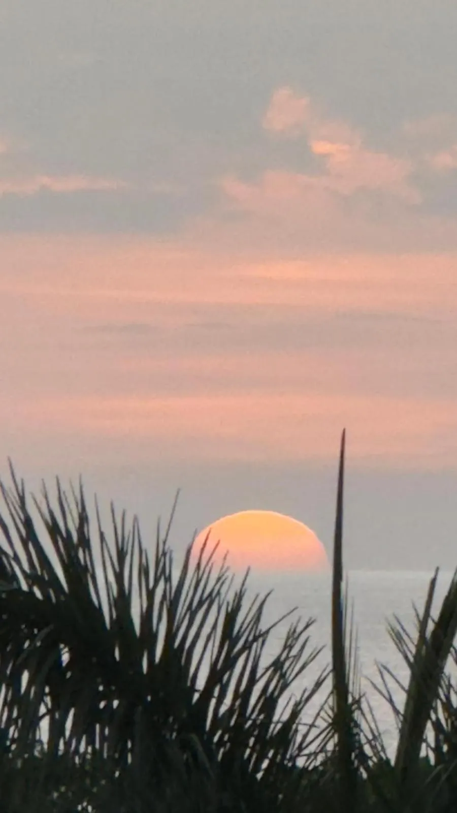 Natural landscape in Best Western Tamarindo Vista Villas