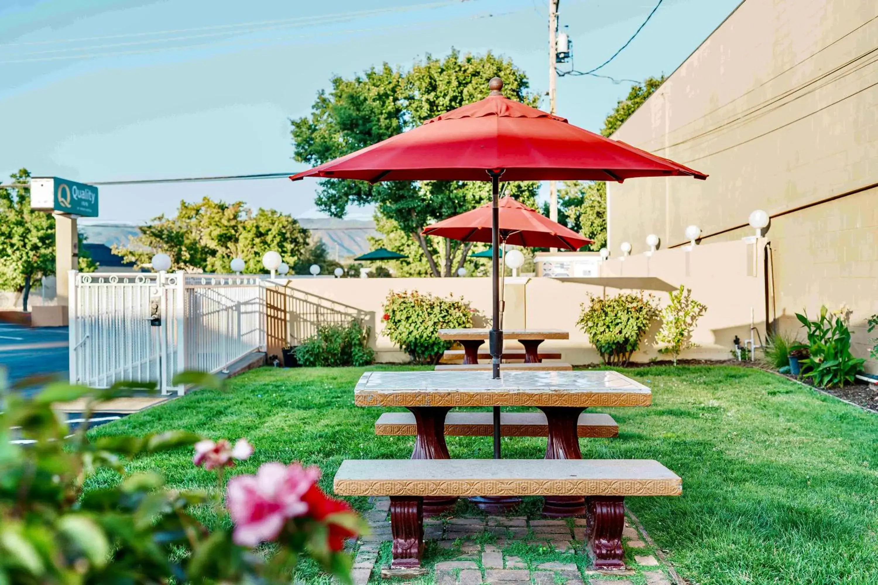 Garden view in Quality Inn Ukiah Garden view in Quality Inn Ukiah