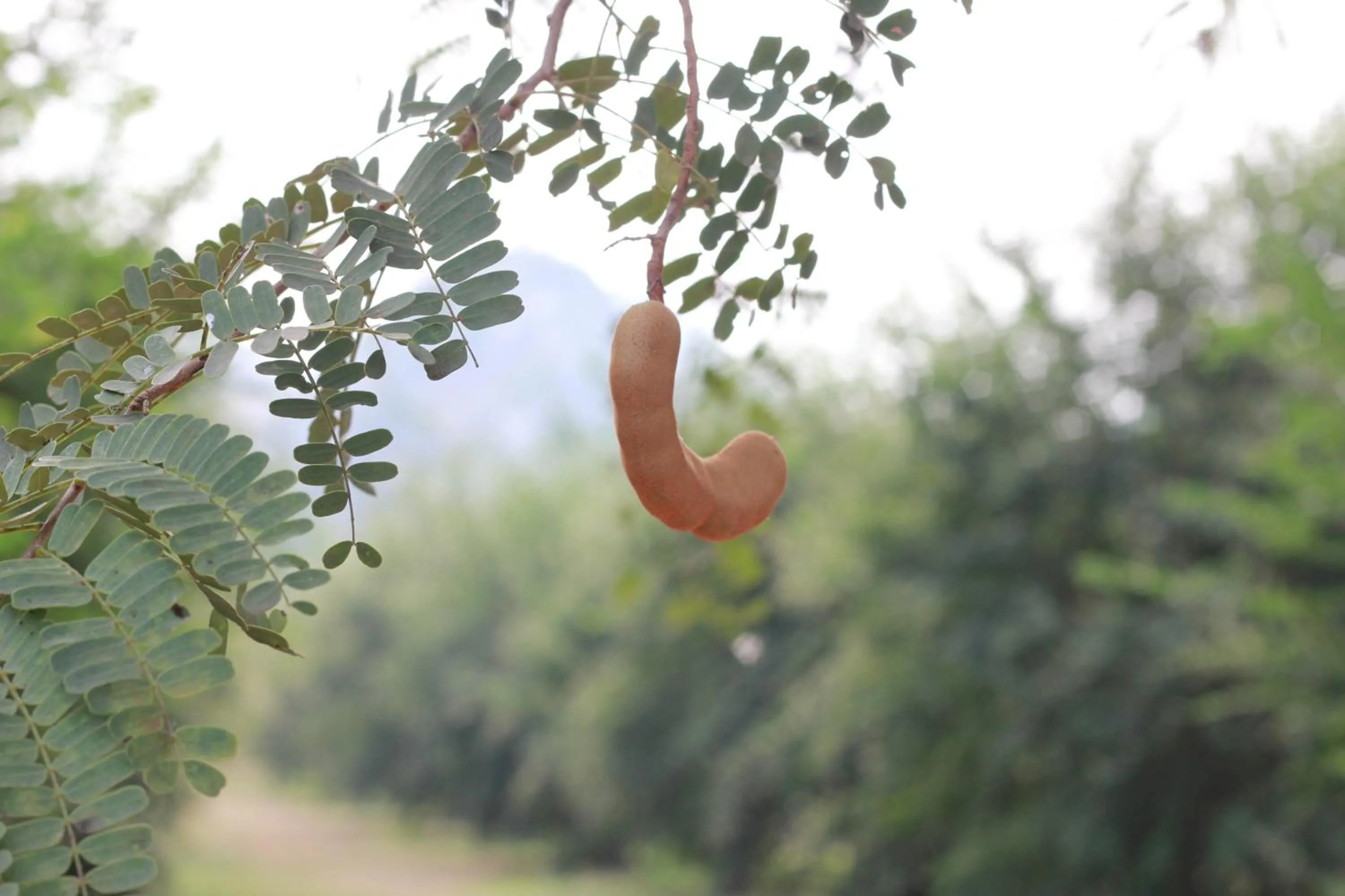 Property building in HOME@HOSTEL KANCHANABURI