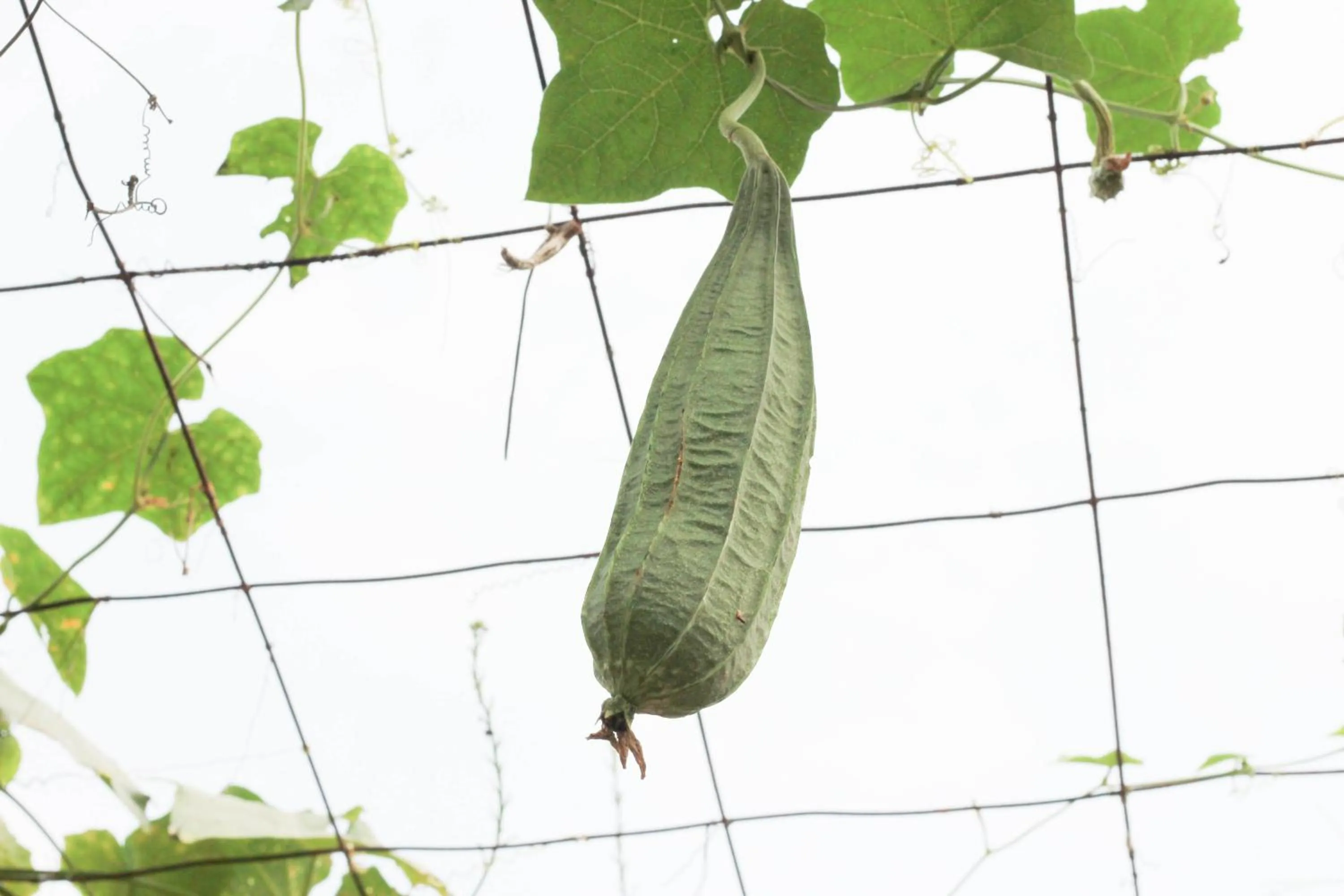 Property building in HOME@HOSTEL KANCHANABURI