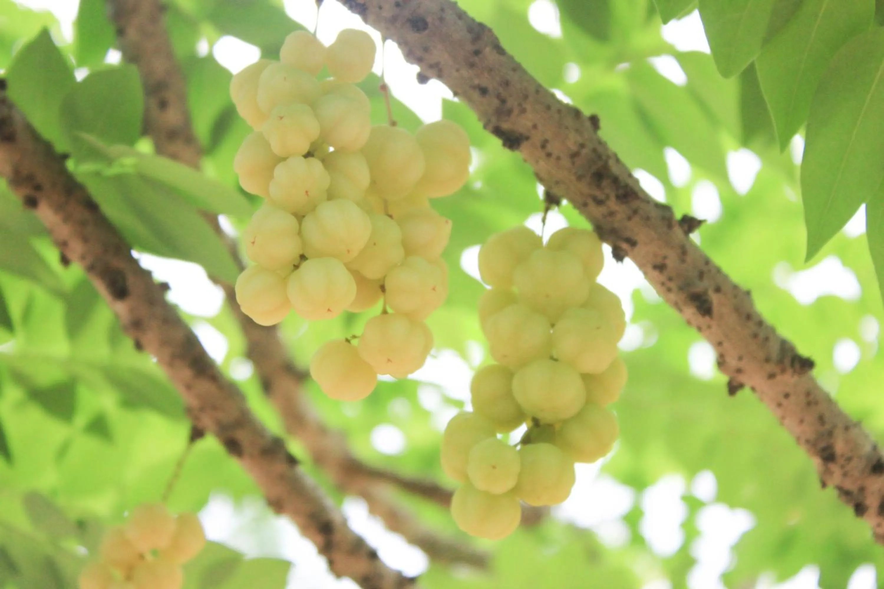 Property building in HOME@HOSTEL KANCHANABURI