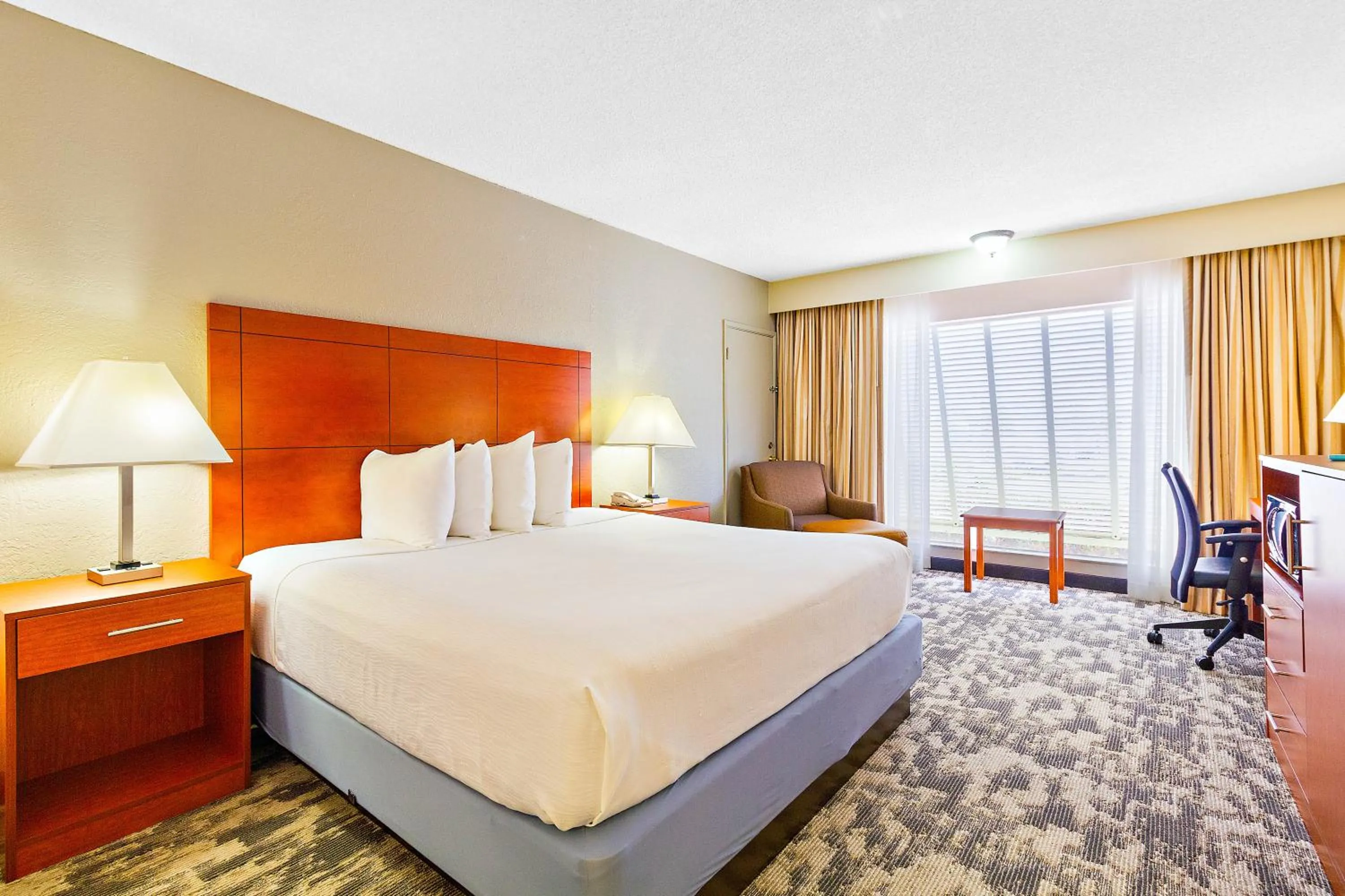 Photo of the whole room in Oasis Boca Raton