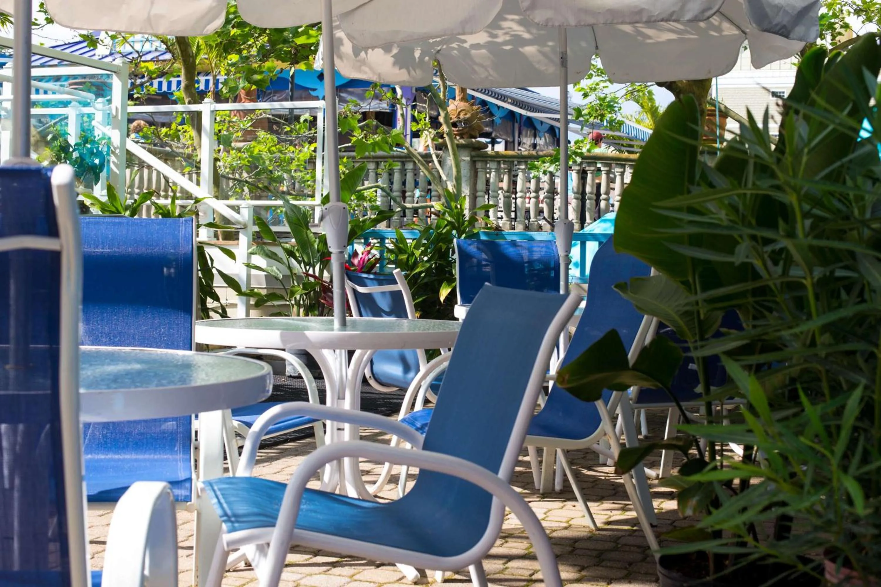 Patio in Plim Plaza Hotel