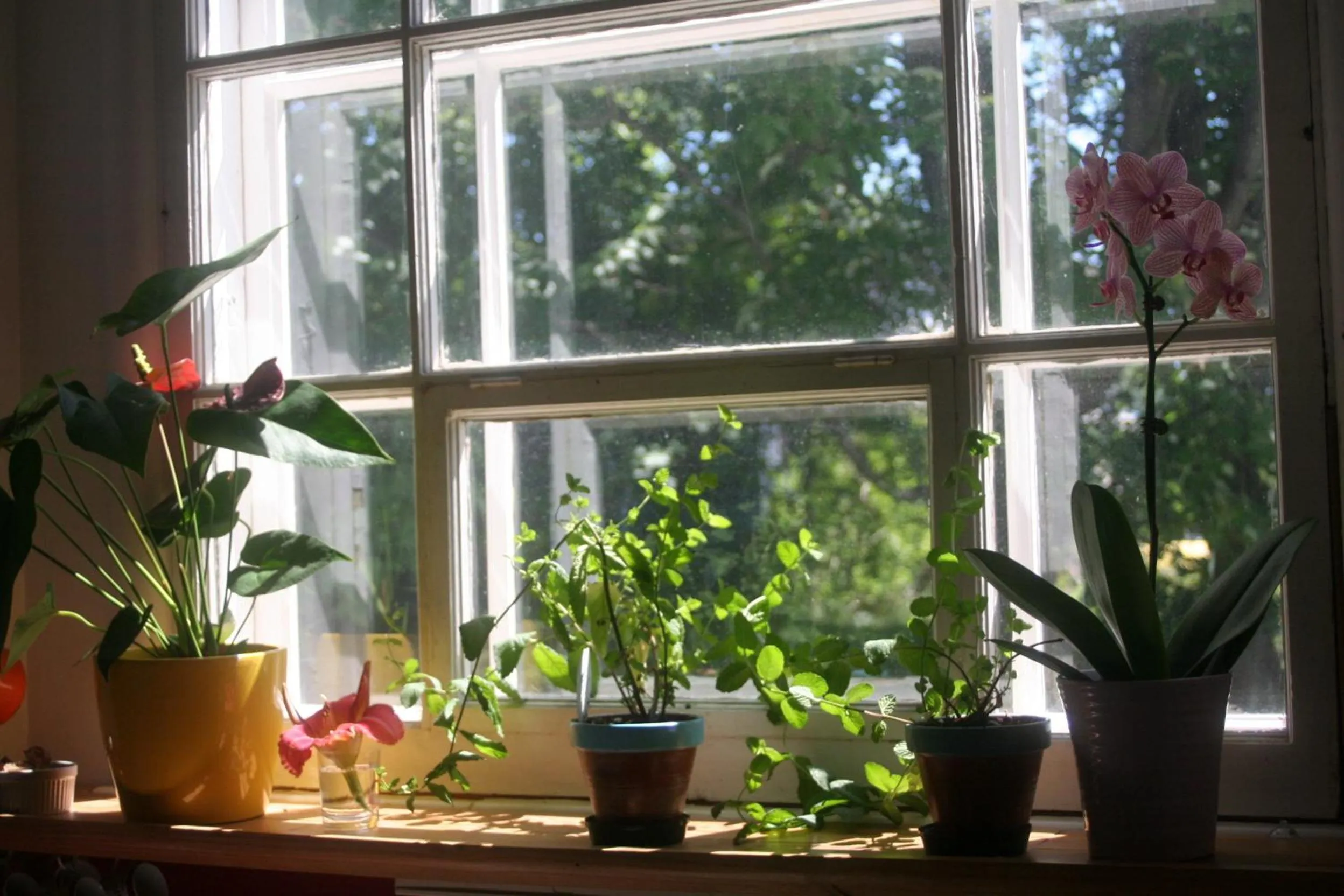 Decorative detail in Almatoit