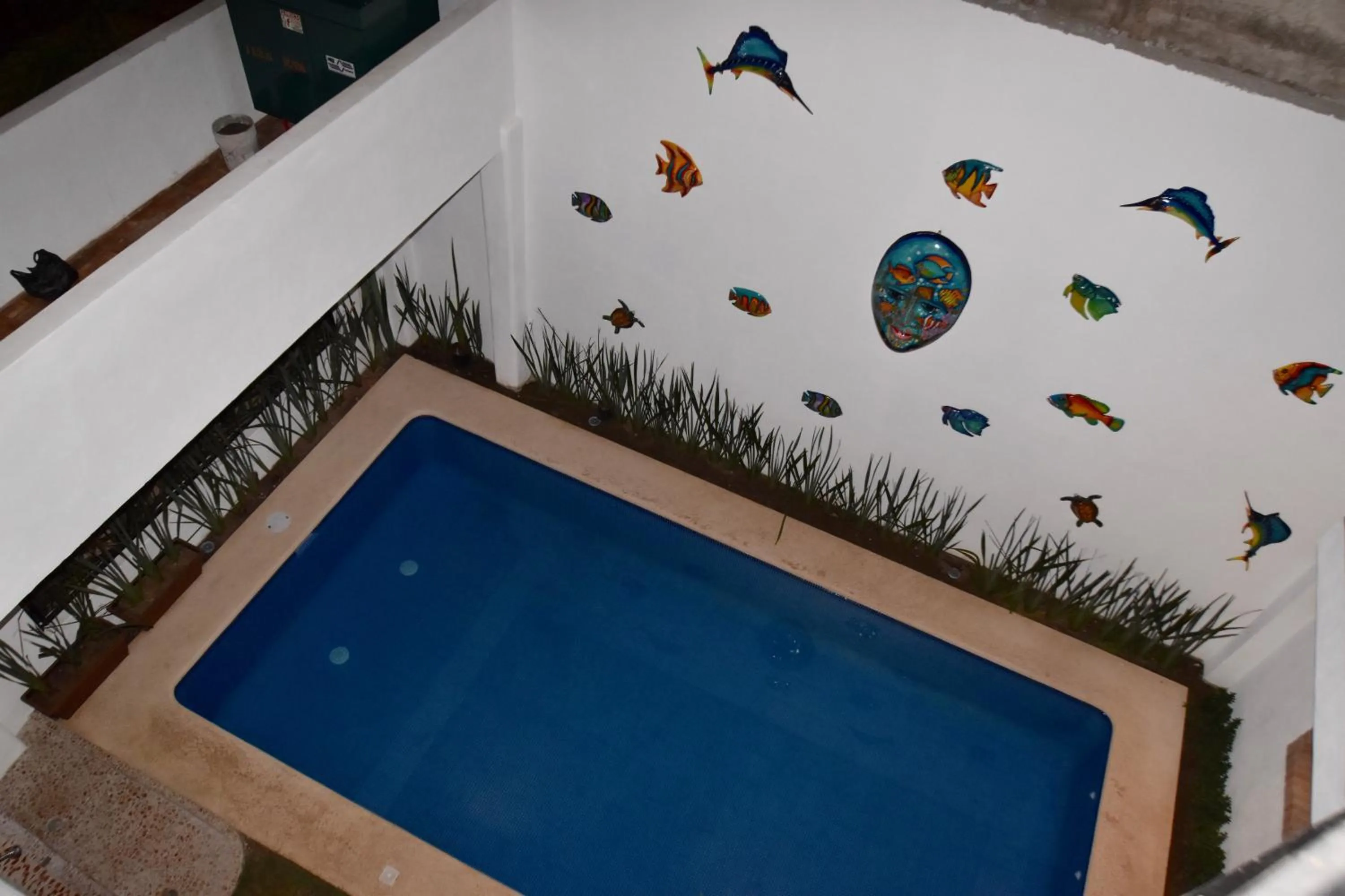 Swimming pool in Villas Amalia Hotel