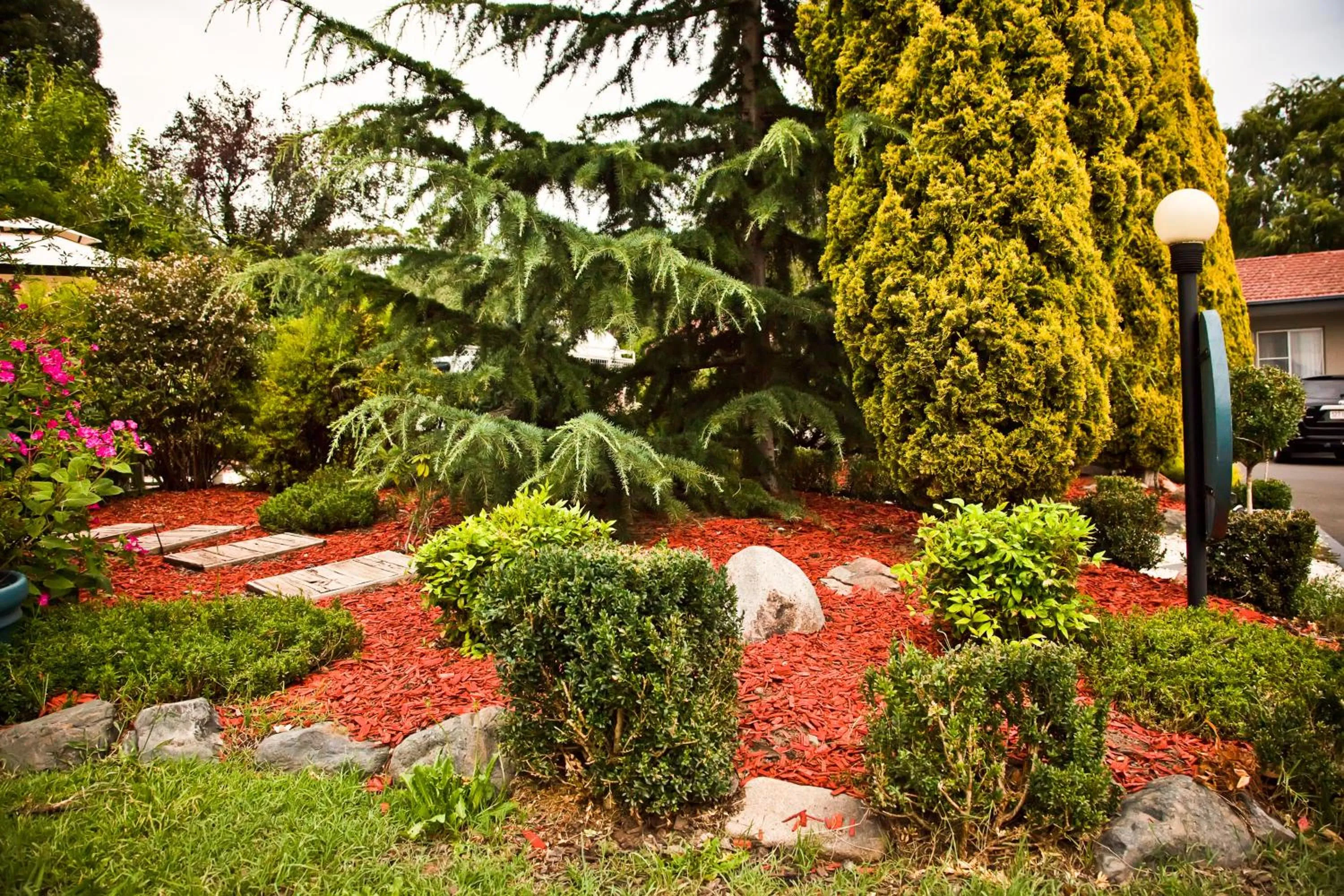 Garden in Abbotsleigh Motor Inn