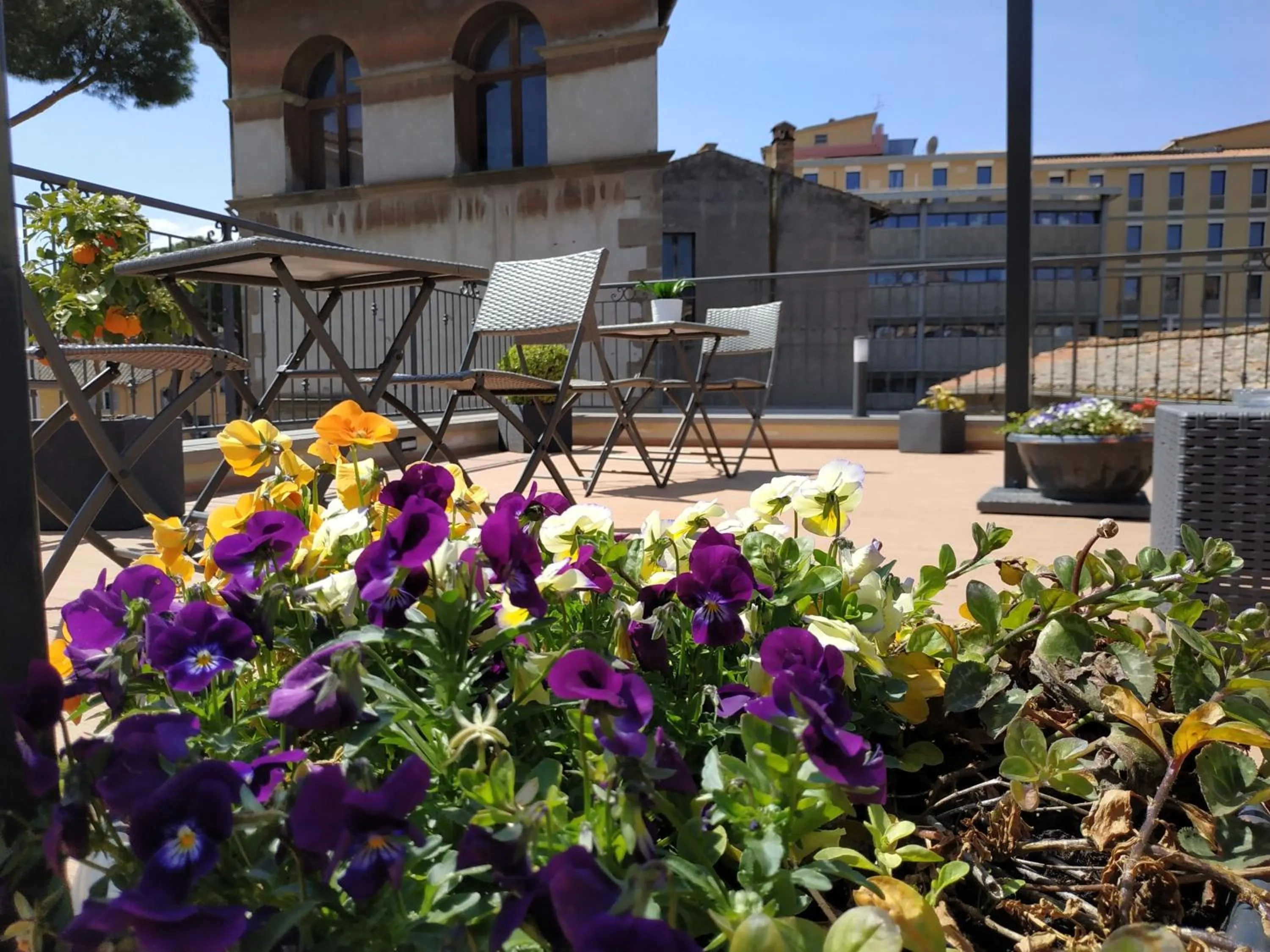 Palazzo Verdi Holiday Viterbo