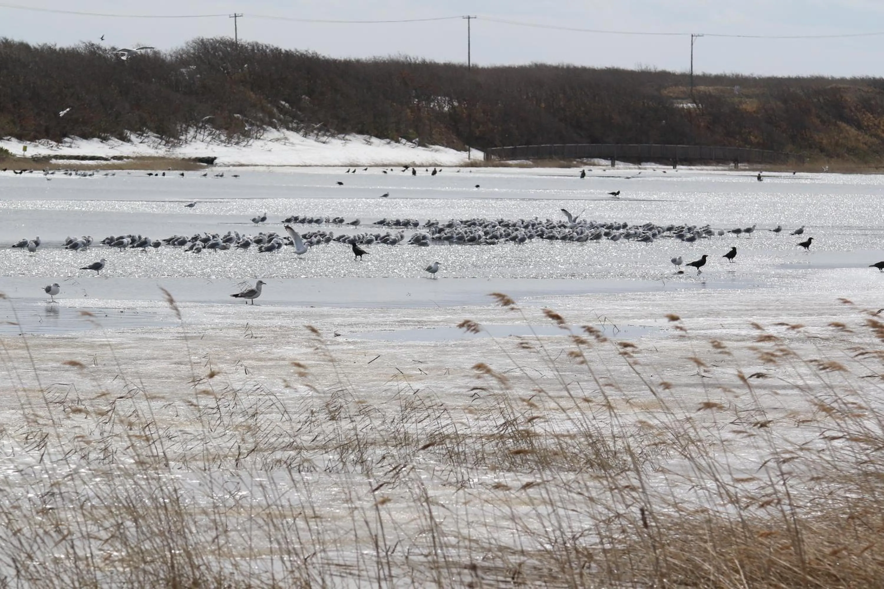 Sea view in Teshio Onsen Yubae