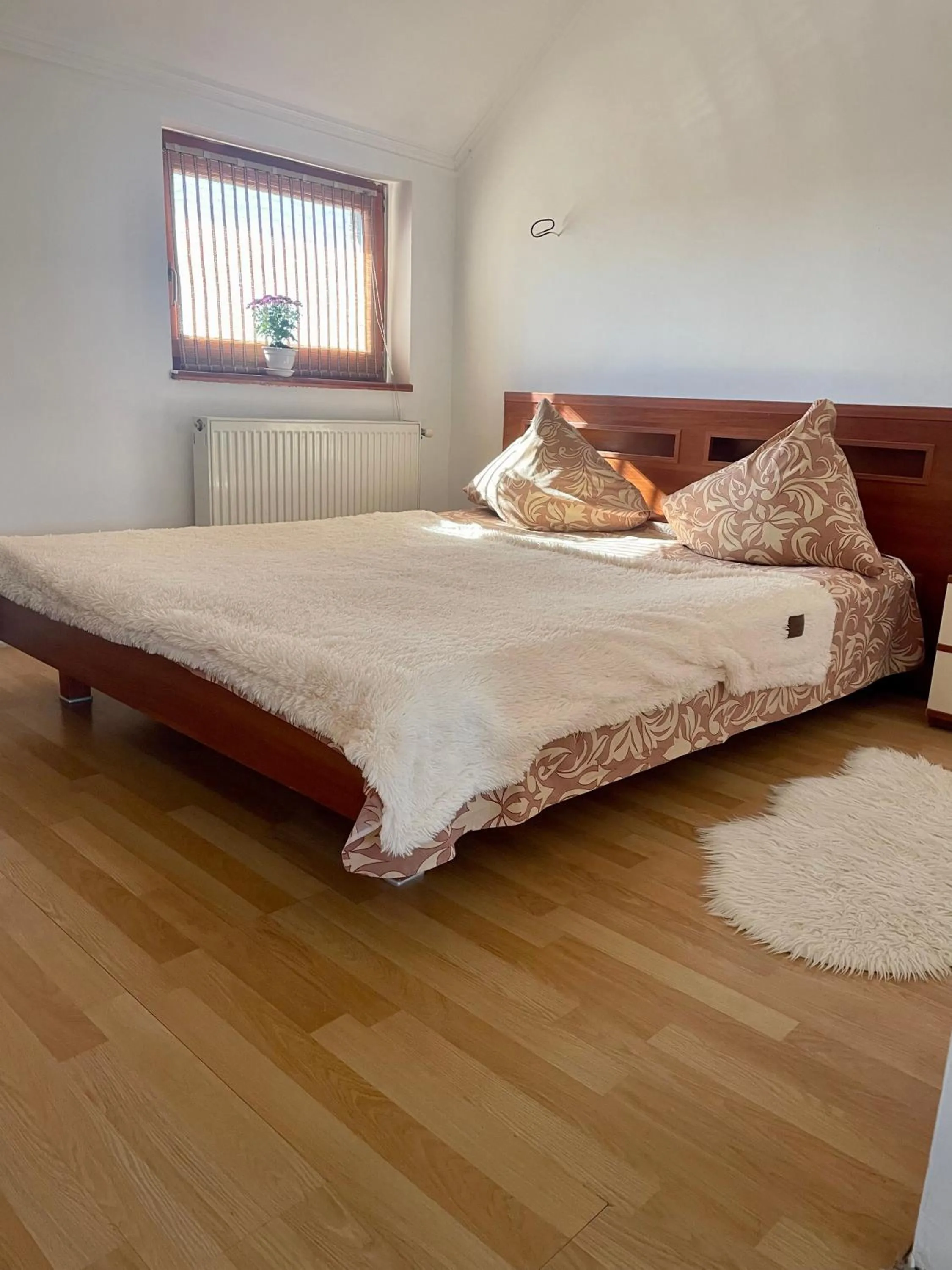 Superior Double Room in Nautilus