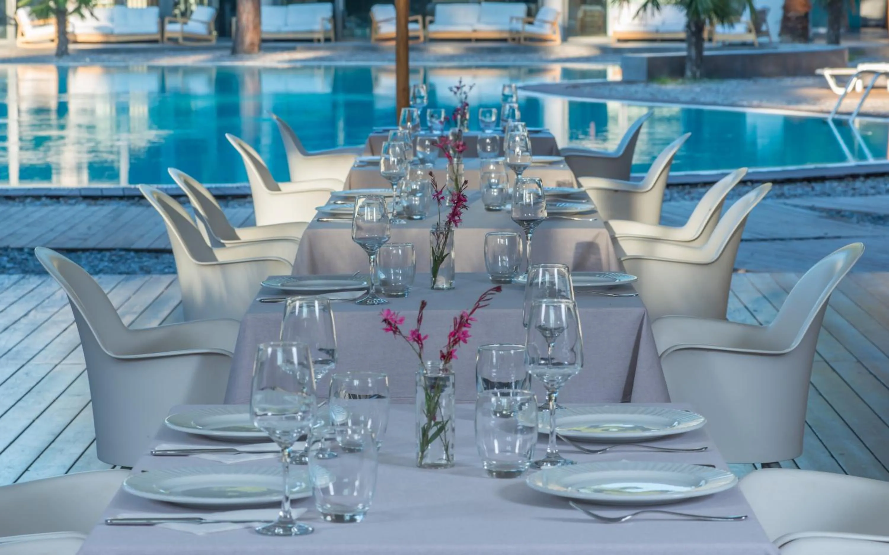 Restaurant/places to eat in Club Agia Anna