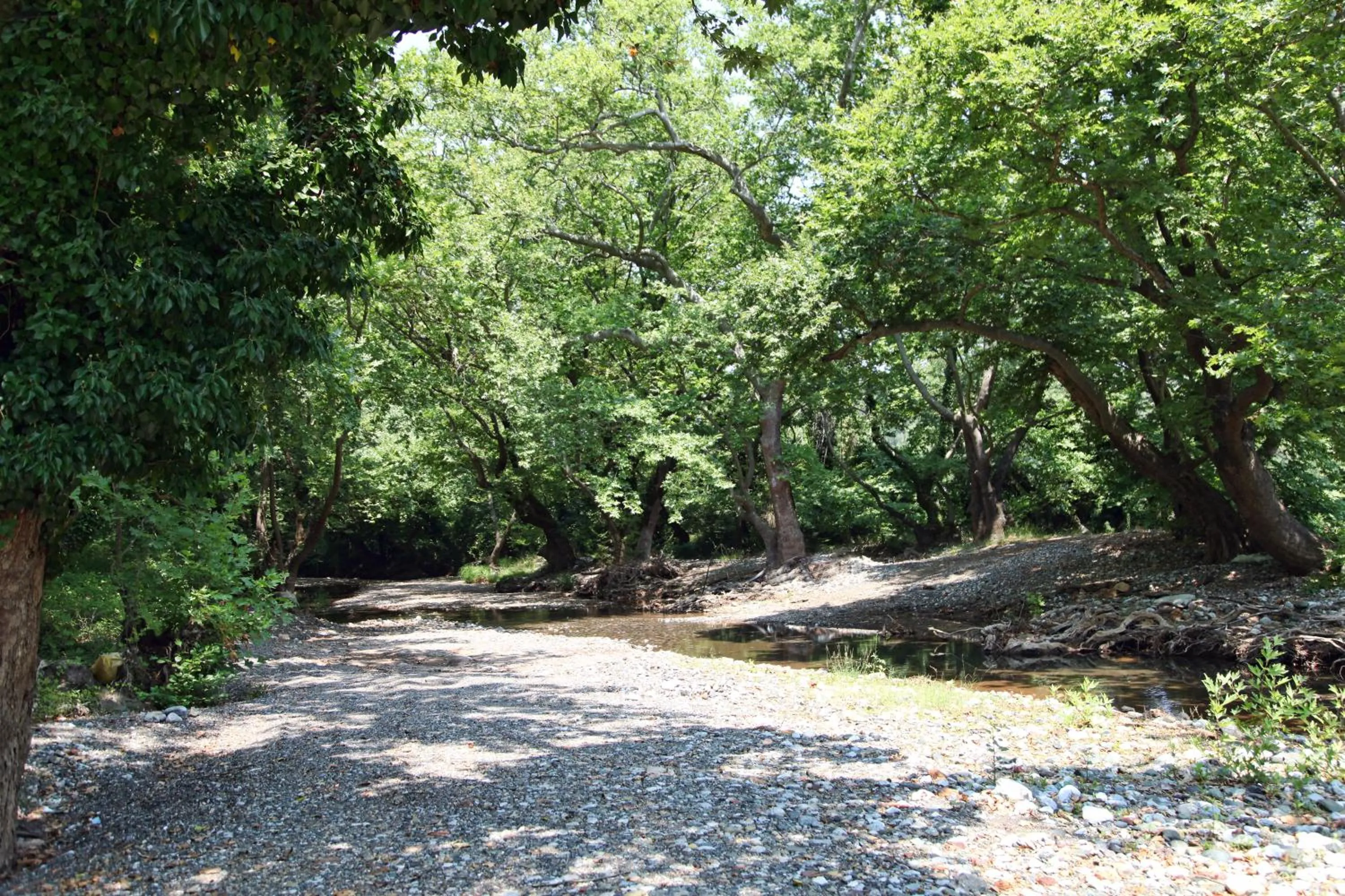 Hiking in Club Agia Anna