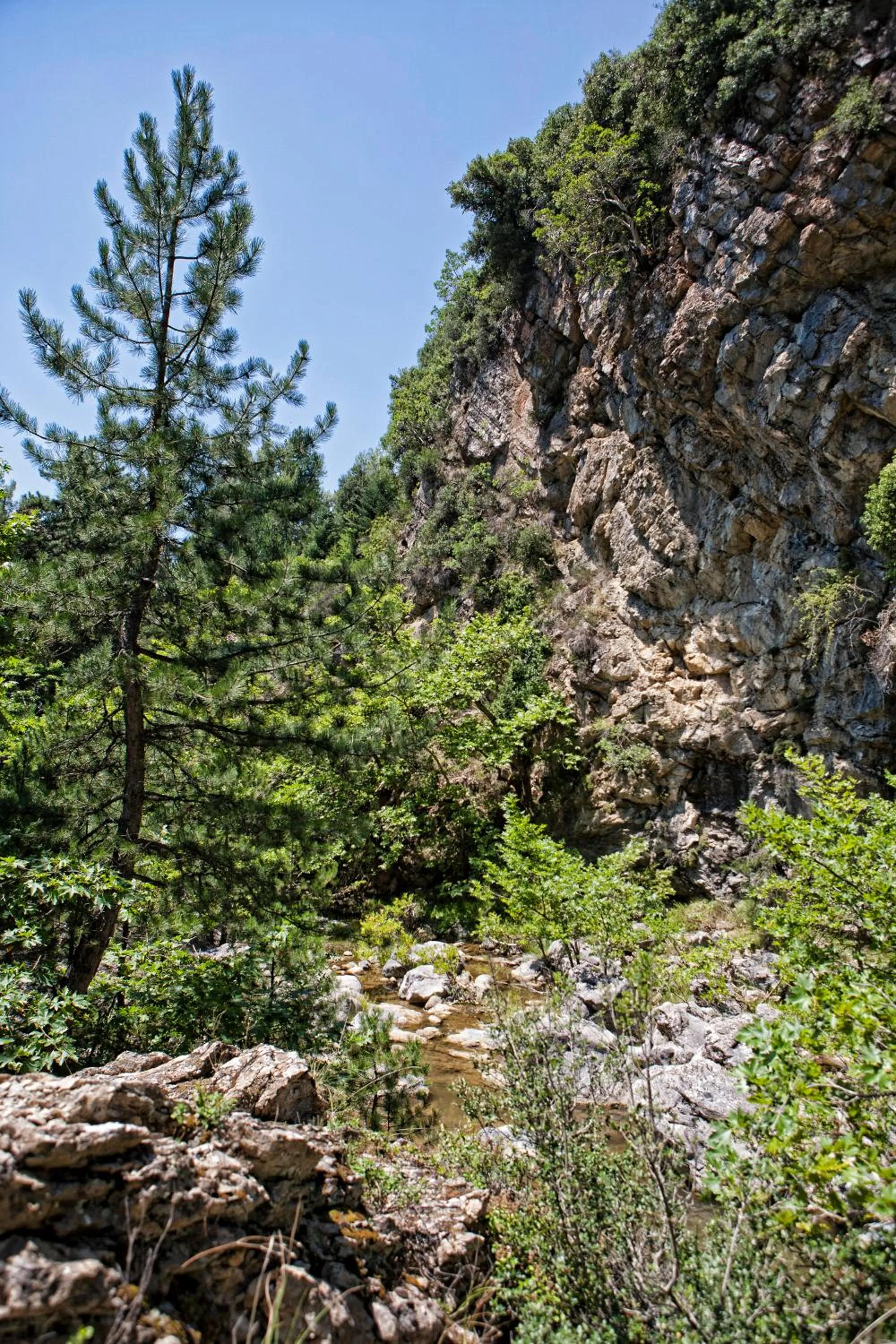 Natural landscape in Club Agia Anna