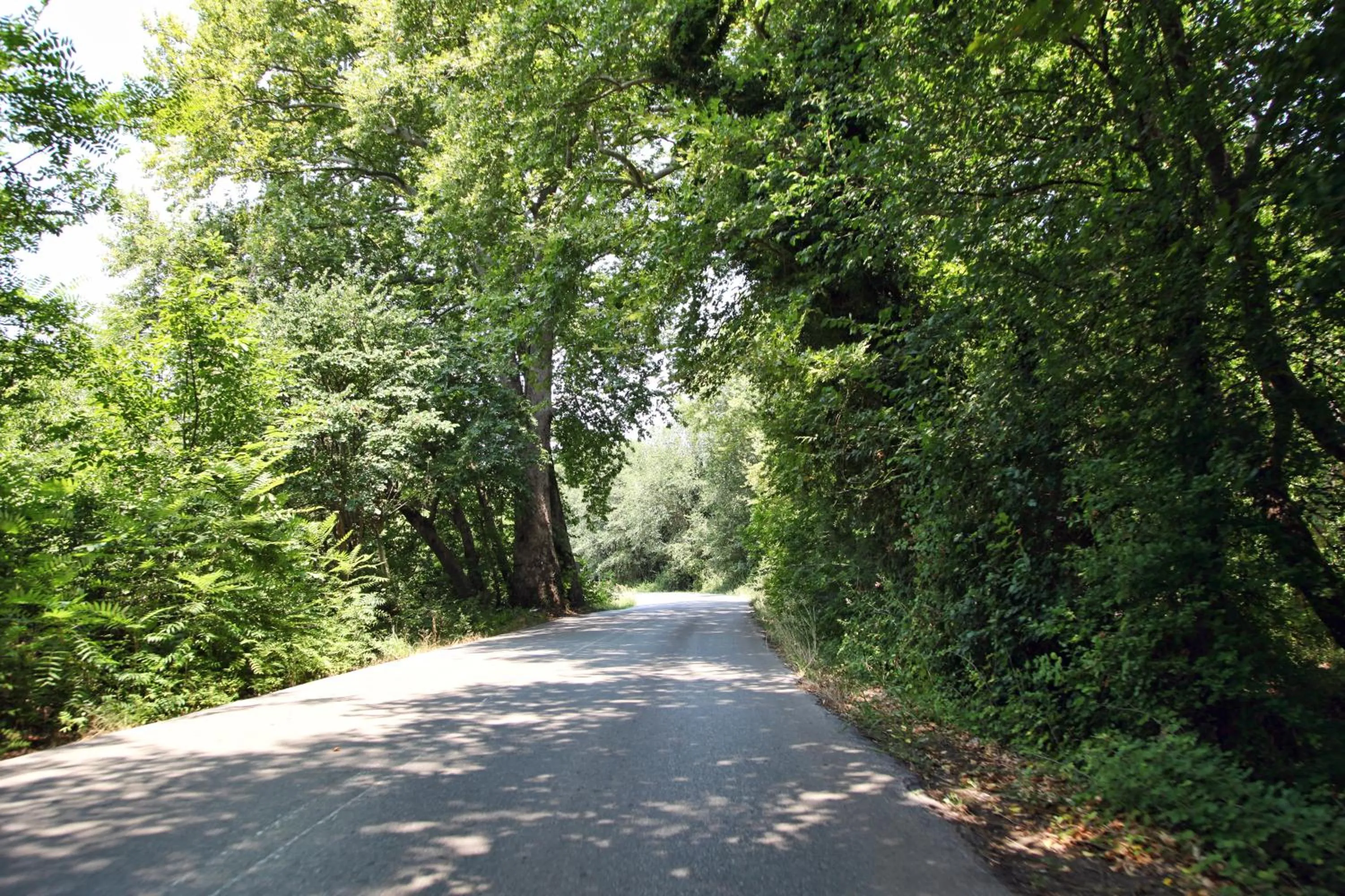 Natural landscape in Club Agia Anna