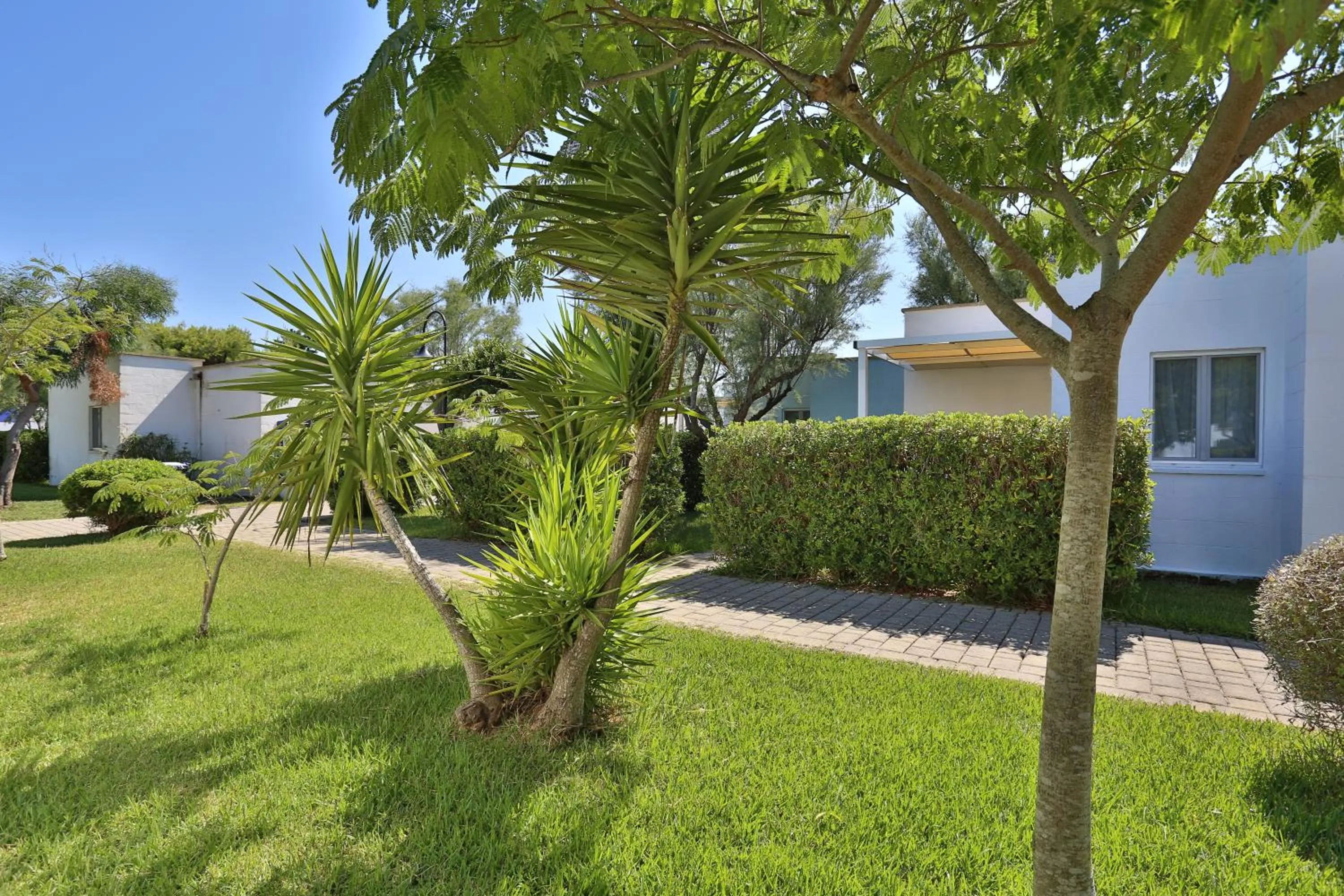 Property building in Futura Club Torre Rinalda