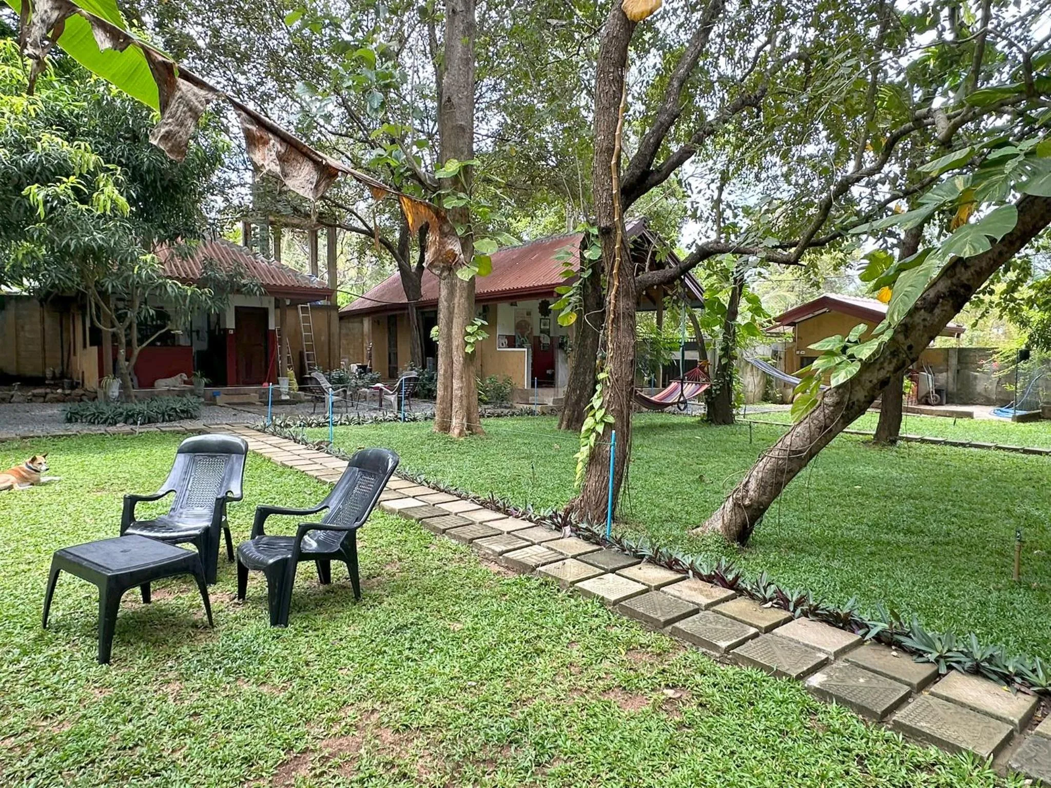 Garden in Sat Nam Village Hotel