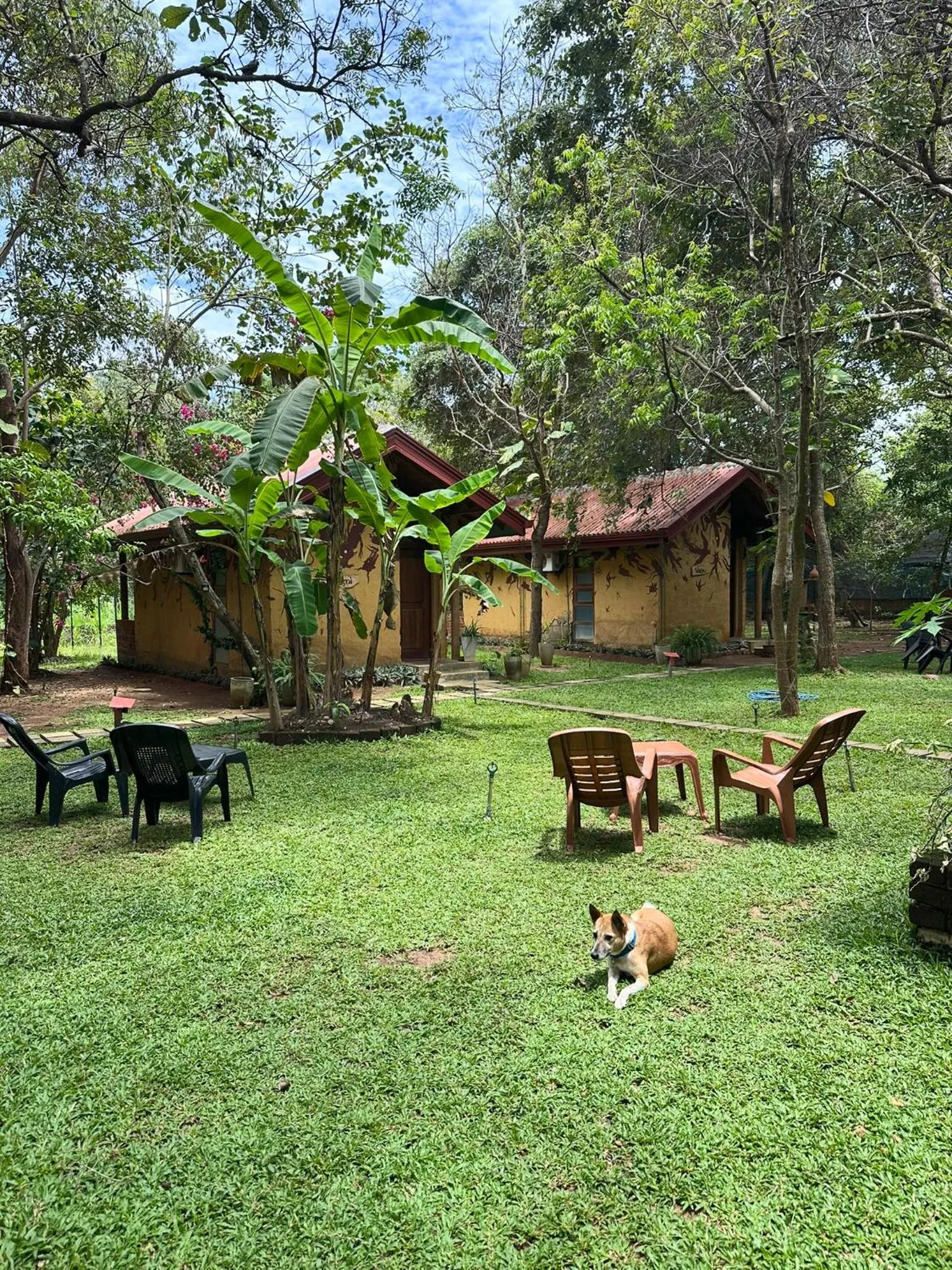 Garden in Sat Nam Village Hotel