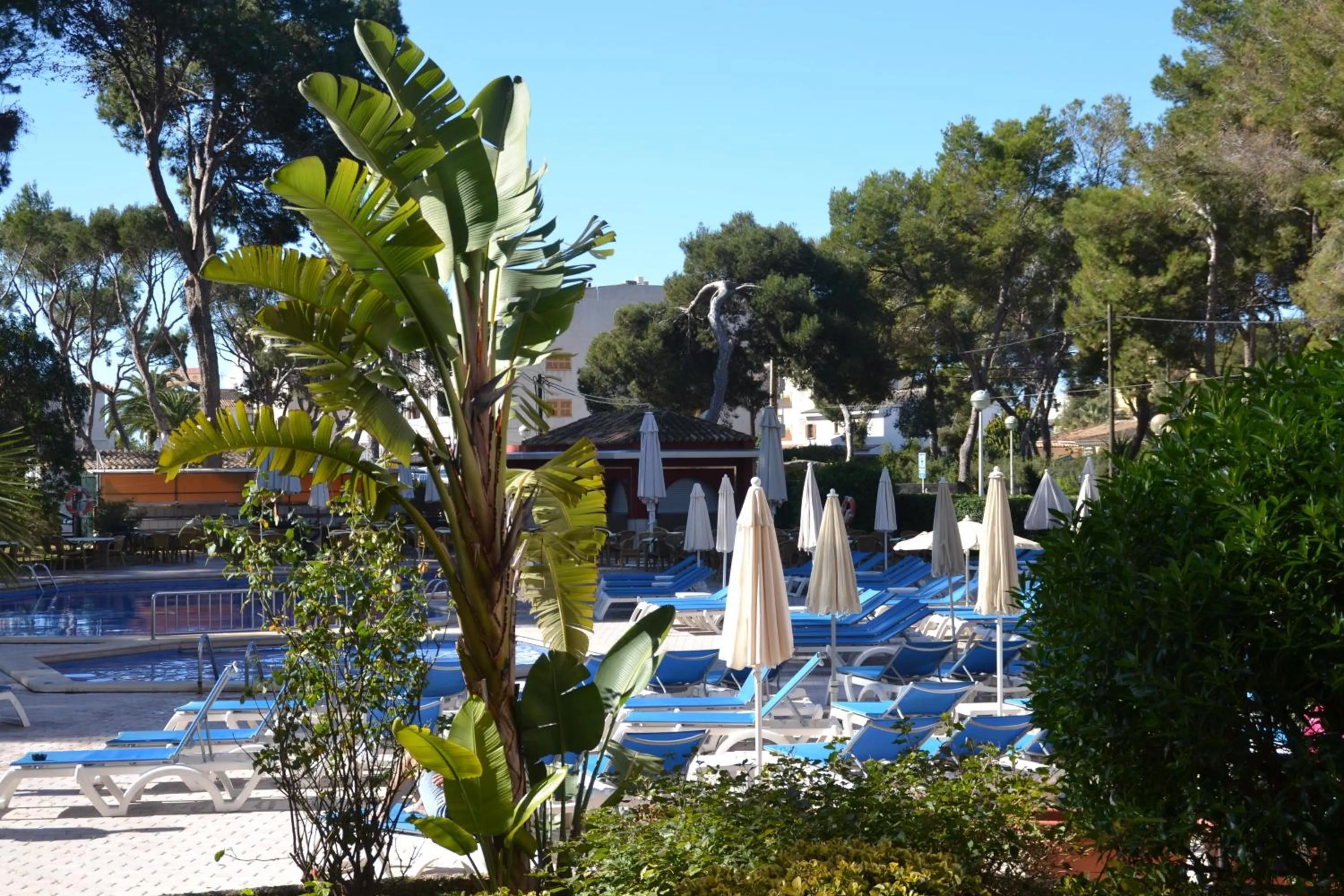 Garden in Hotel Pabisa Sofia