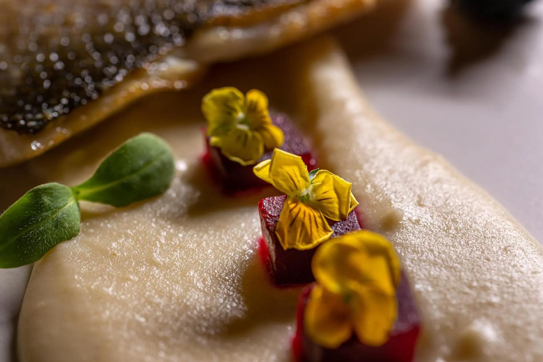 Restaurant/places to eat in Anteliz Suites