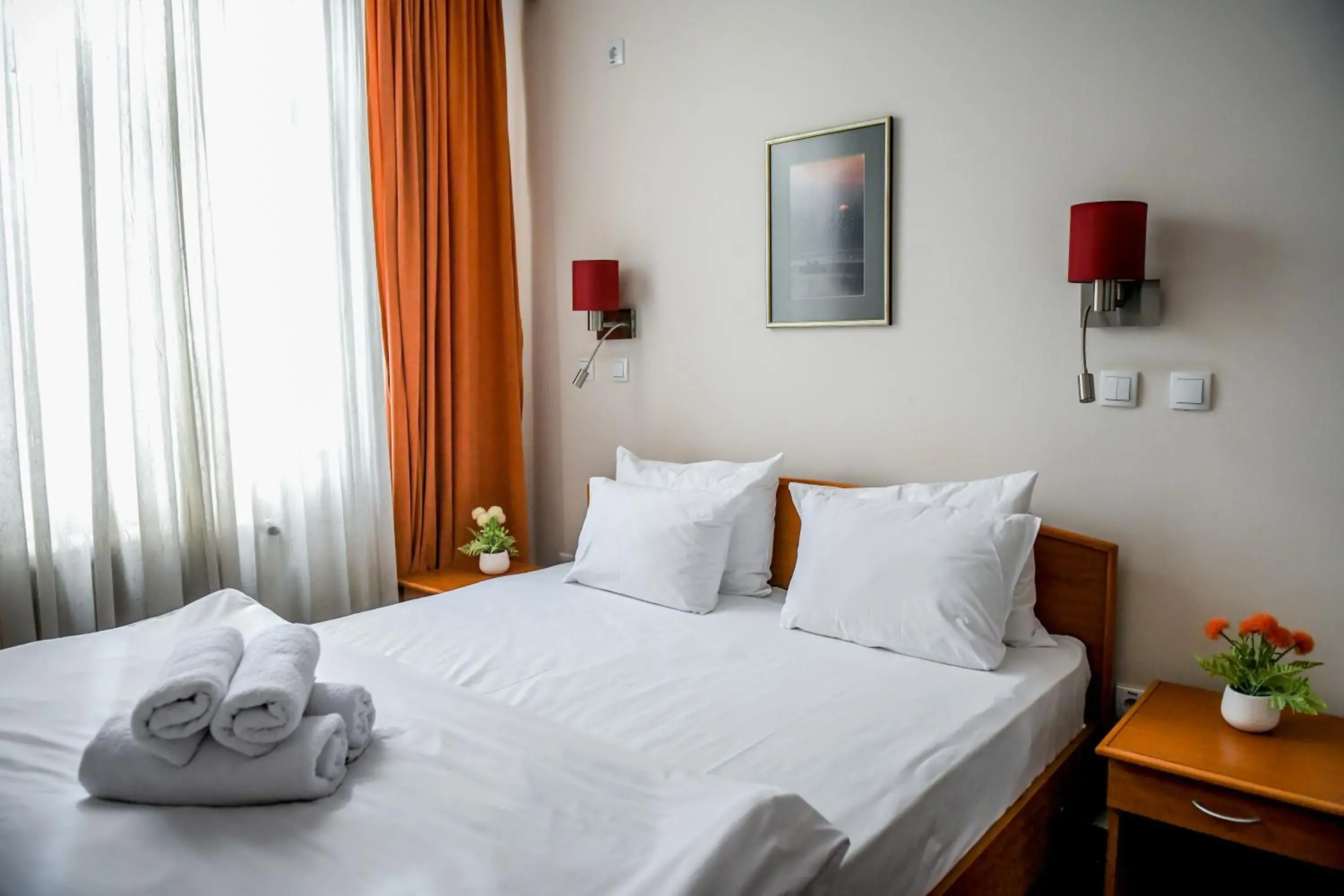 Double Room - single occupancy in Hotel Fontana Double Room - single occupancy in Hotel Fontana