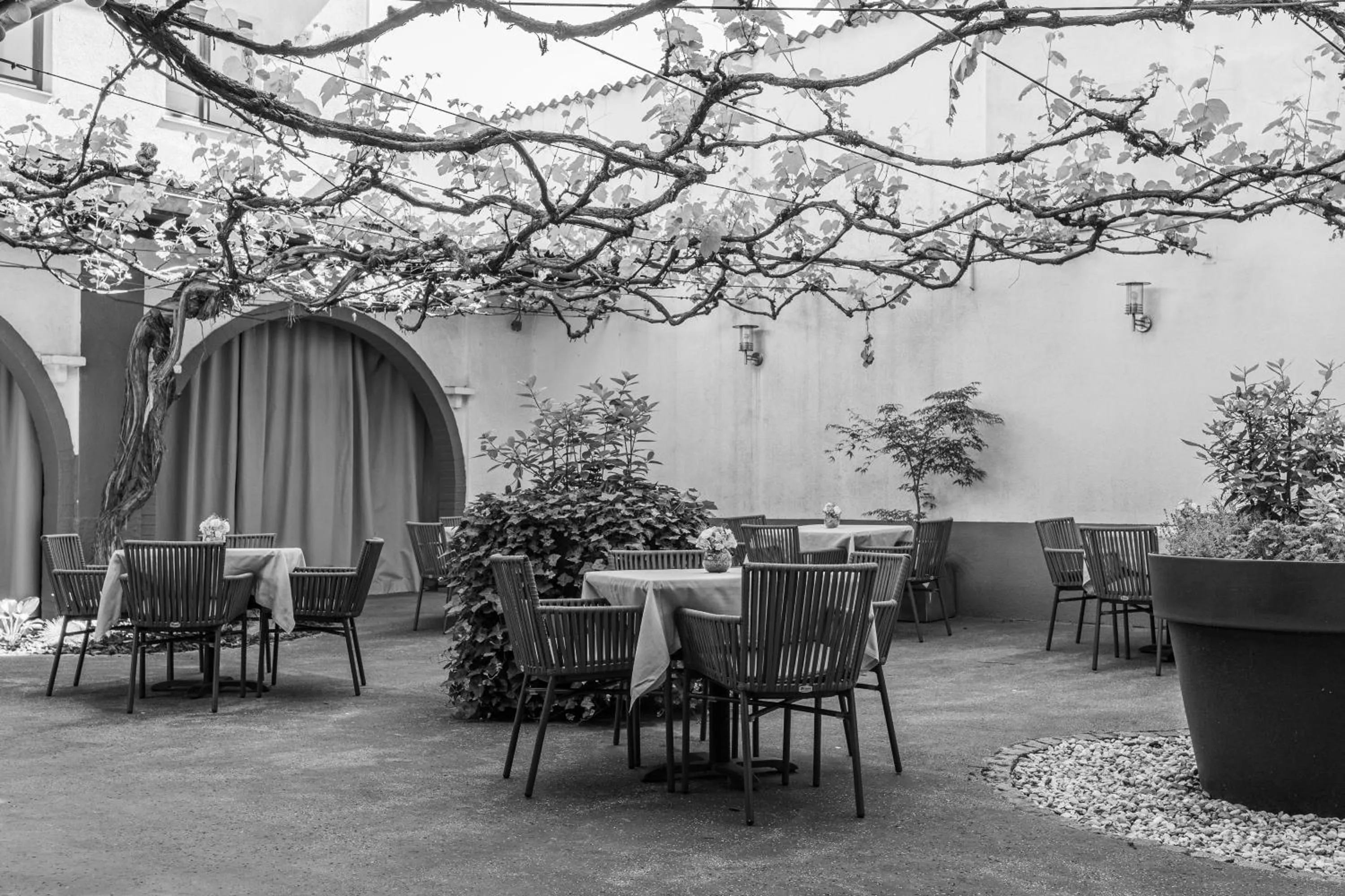 Restaurant/places to eat in Hotel Mrak