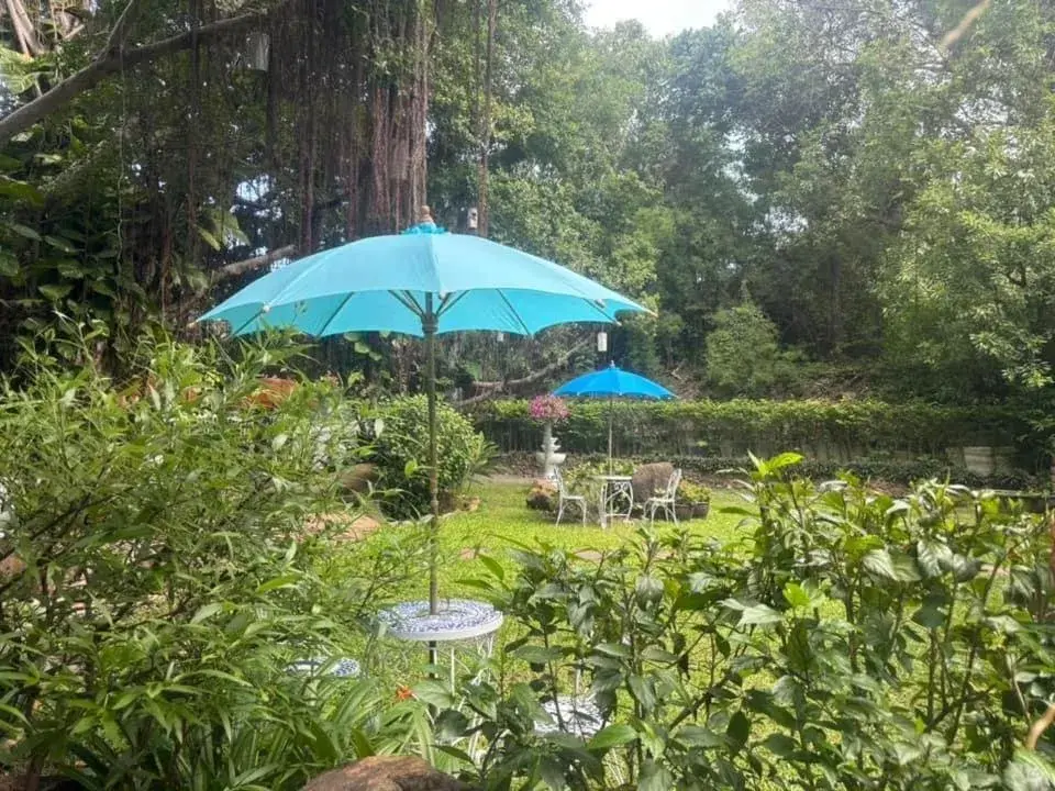 Garden in Banyan House Samui bed and breakfast (Adult Only) Garden in Banyan House Samui bed and breakfast (Adult Only)