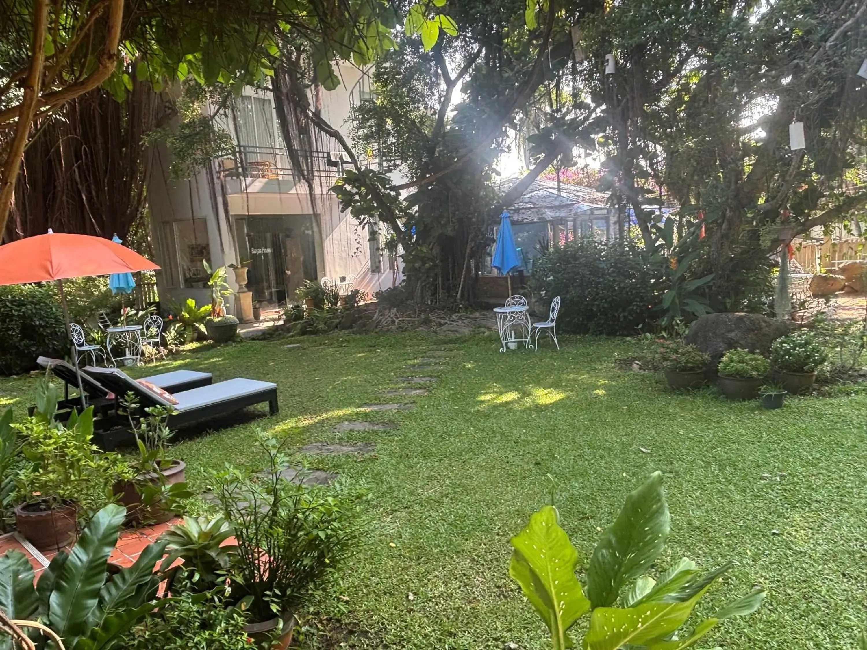 Garden view in Banyan House Samui bed and breakfast (Adult Only) Garden view in Banyan House Samui bed and breakfast (Adult Only)