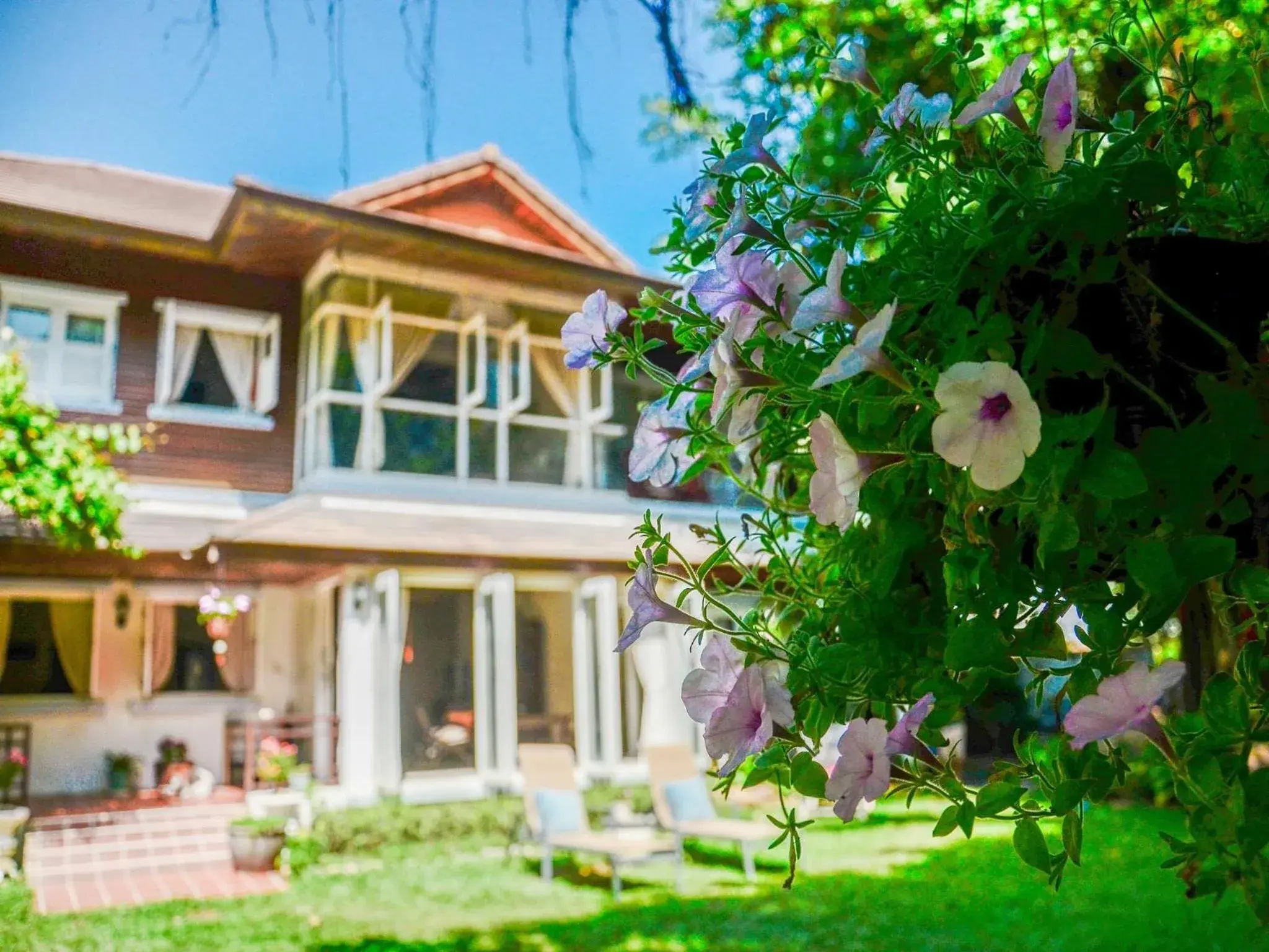 Property building in Banyan House Samui bed and breakfast (Adult Only) Property building in Banyan House Samui bed and breakfast (Adult Only)